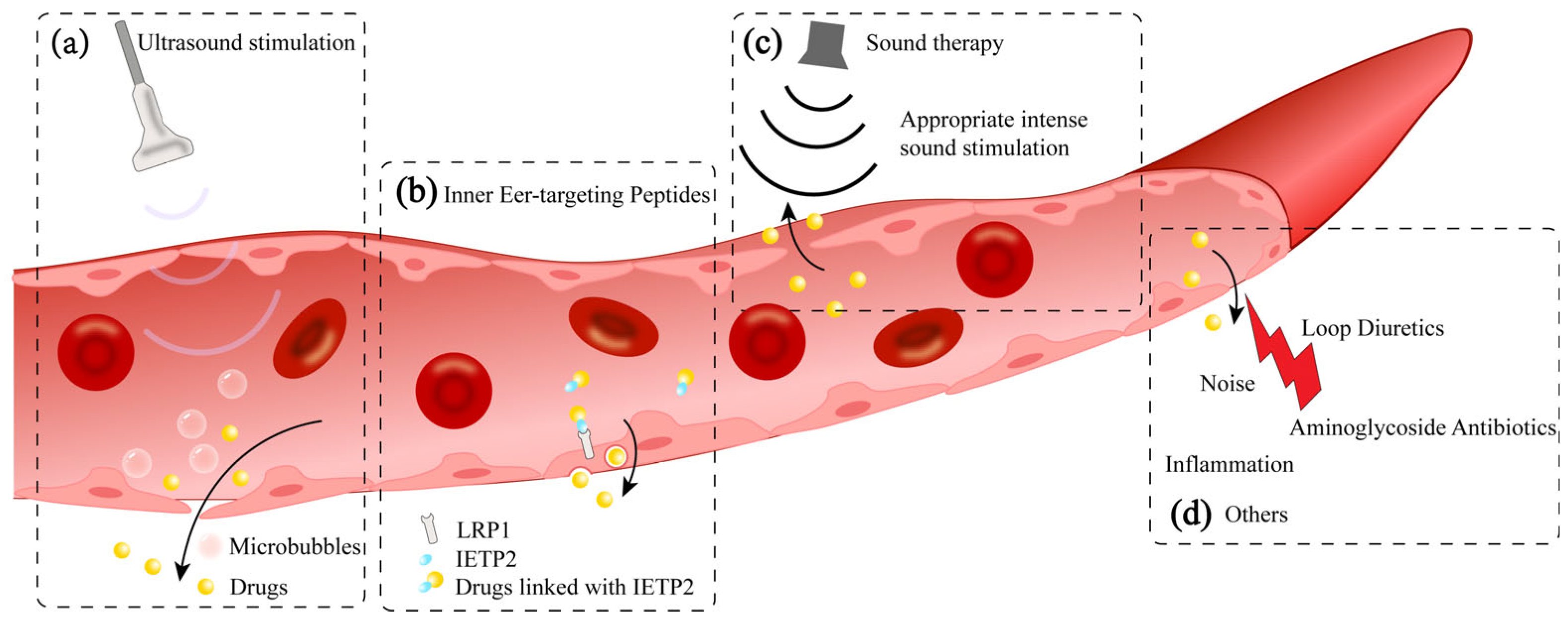 Pharmaceutics 17 00482 g003 Pharmaceutics 17 00482 g003