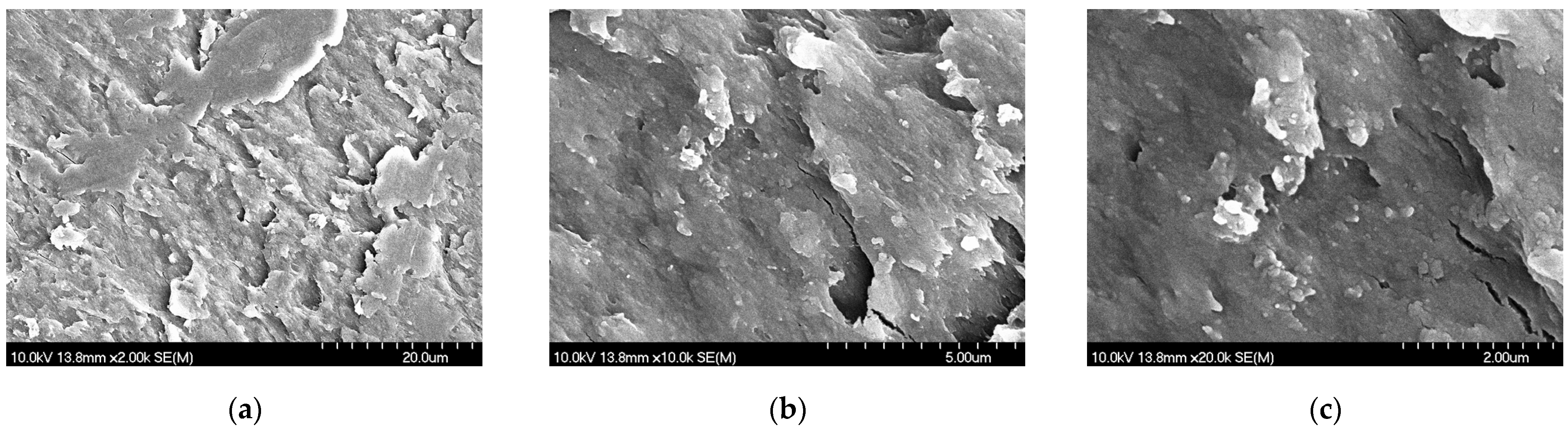 Pharmaceutics 17 00486 g002