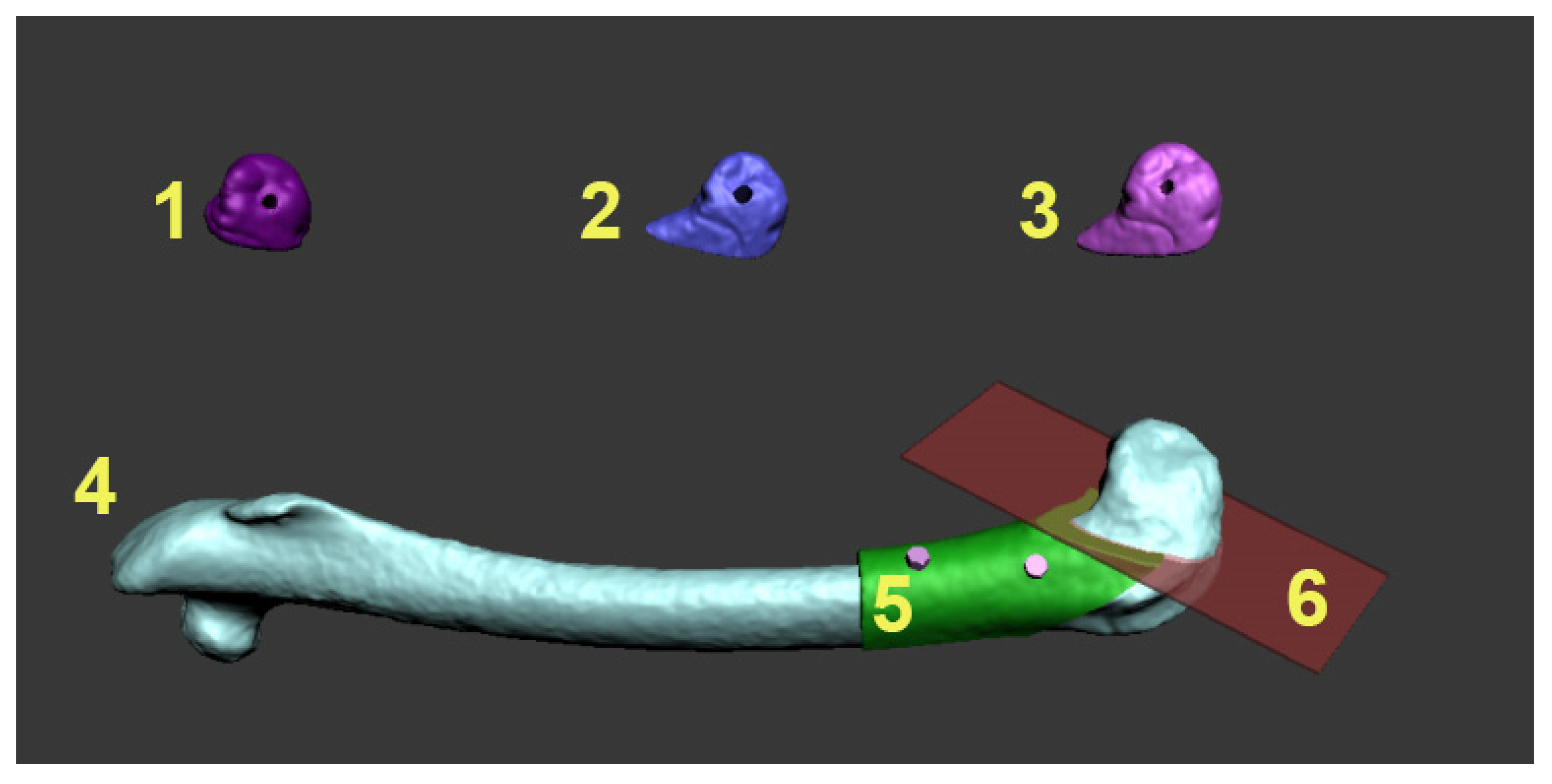 Pharmaceutics 17 00489 g001