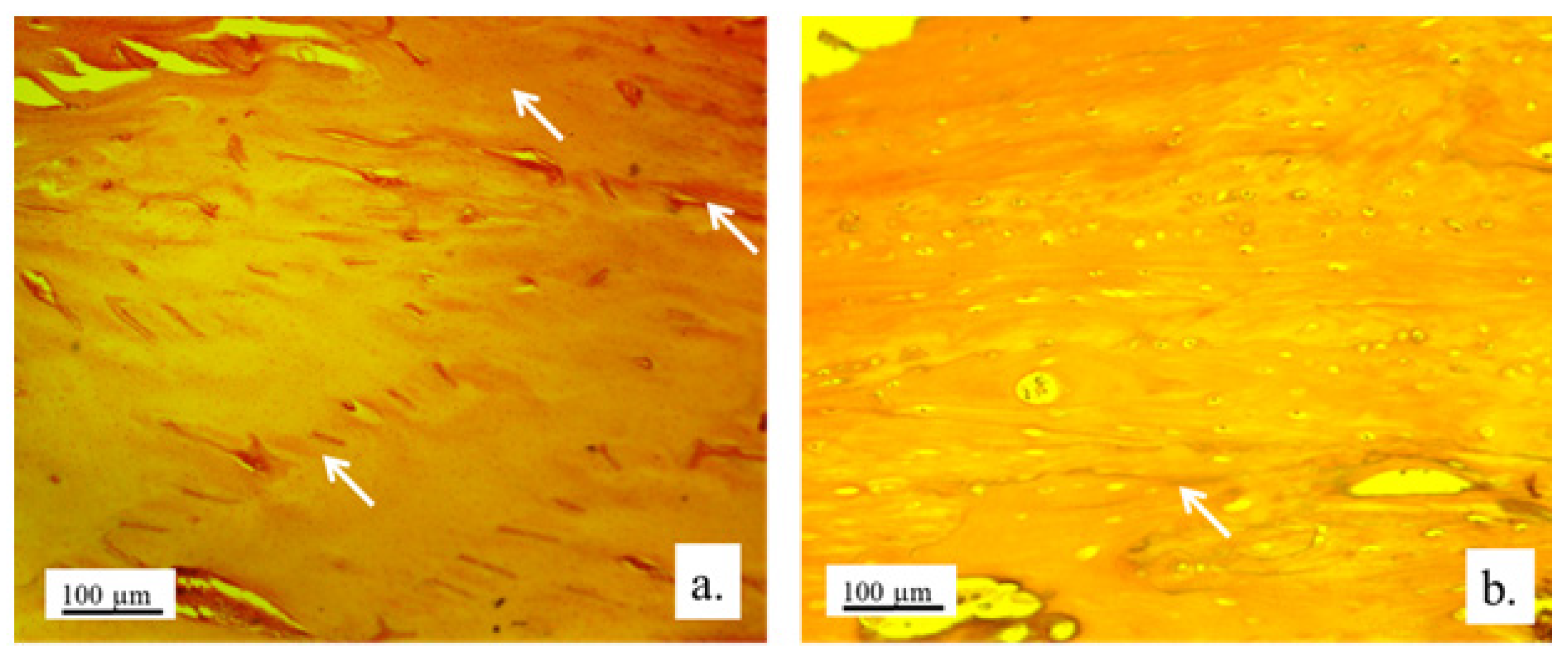 Pharmaceutics 17 00489 g014