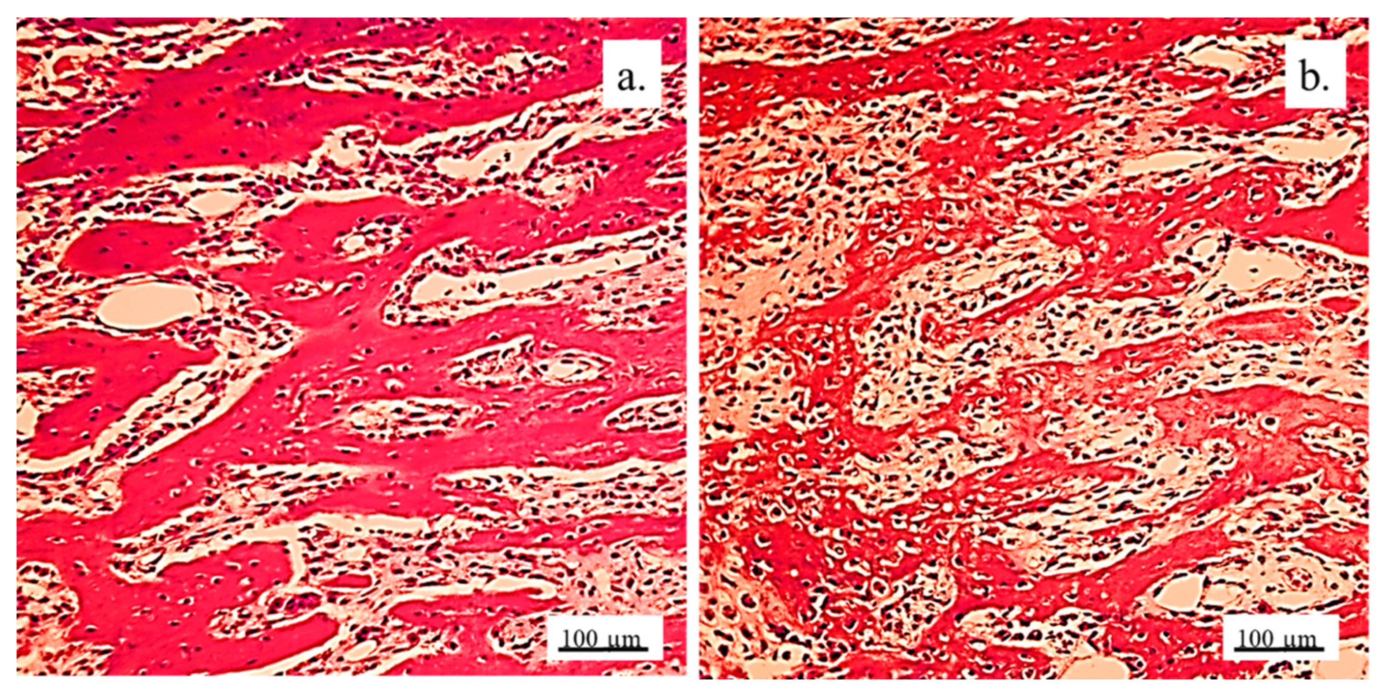 Pharmaceutics 17 00489 g015