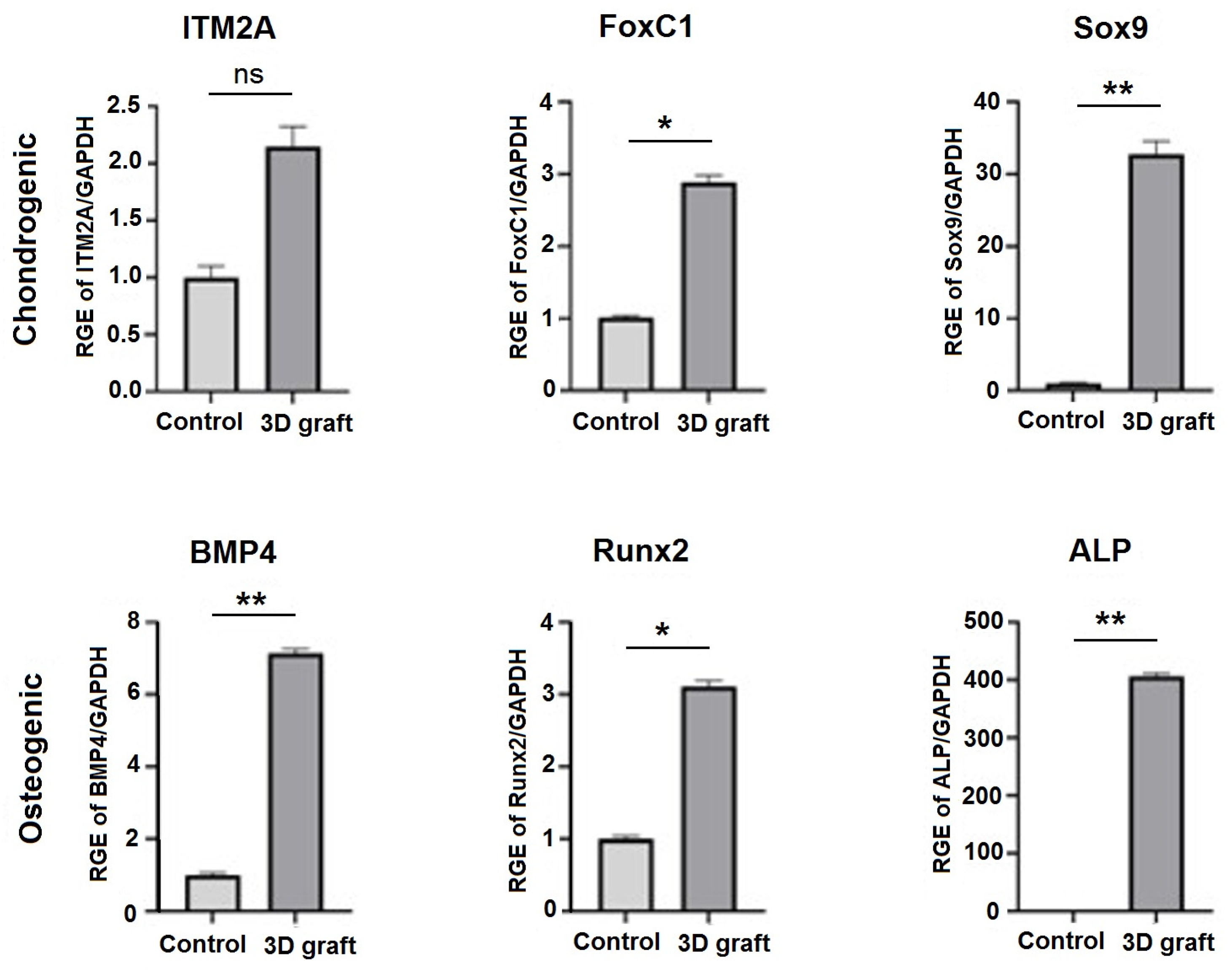 Pharmaceutics 17 00489 g016
