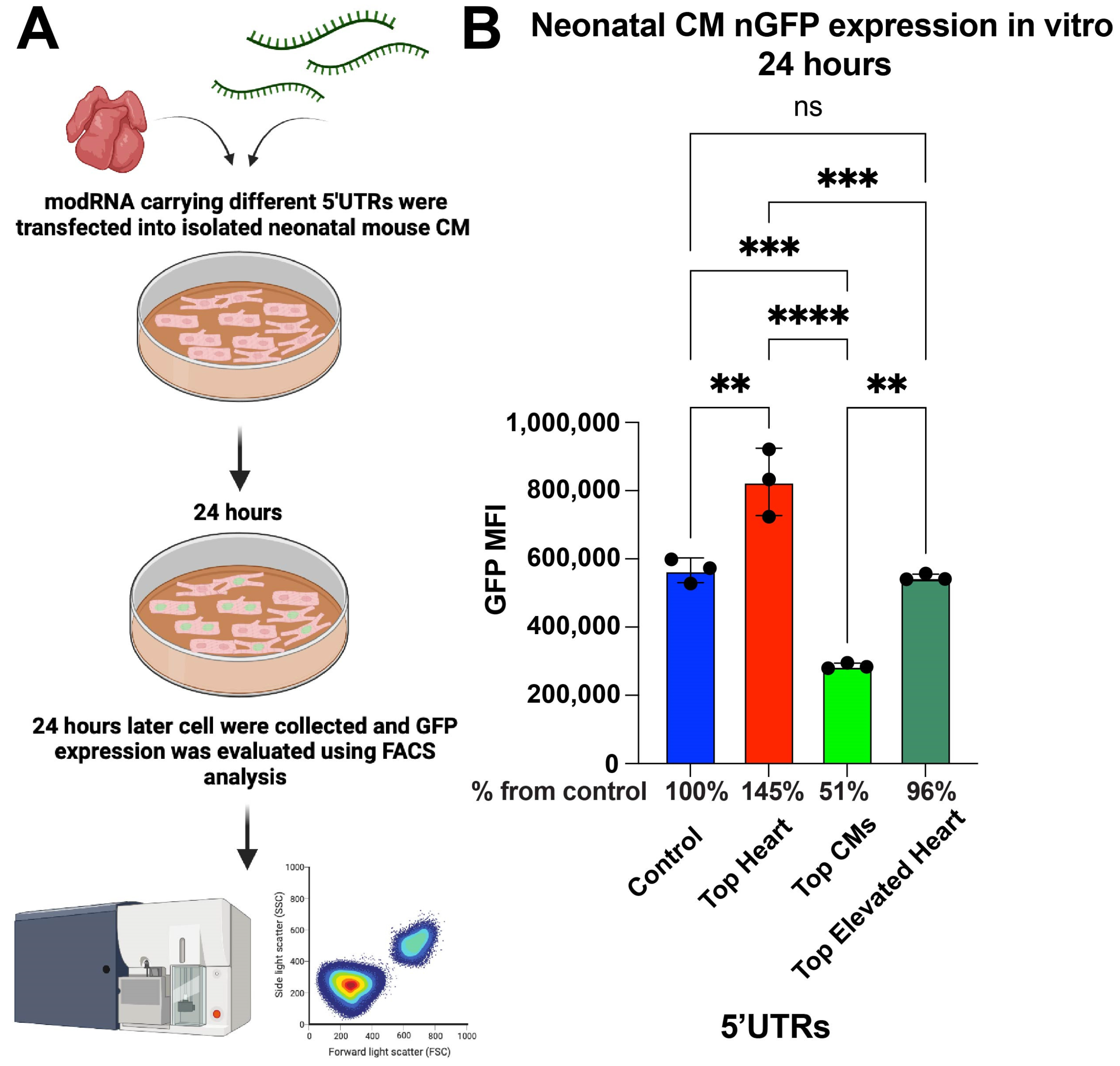Pharmaceutics 17 00490 g001