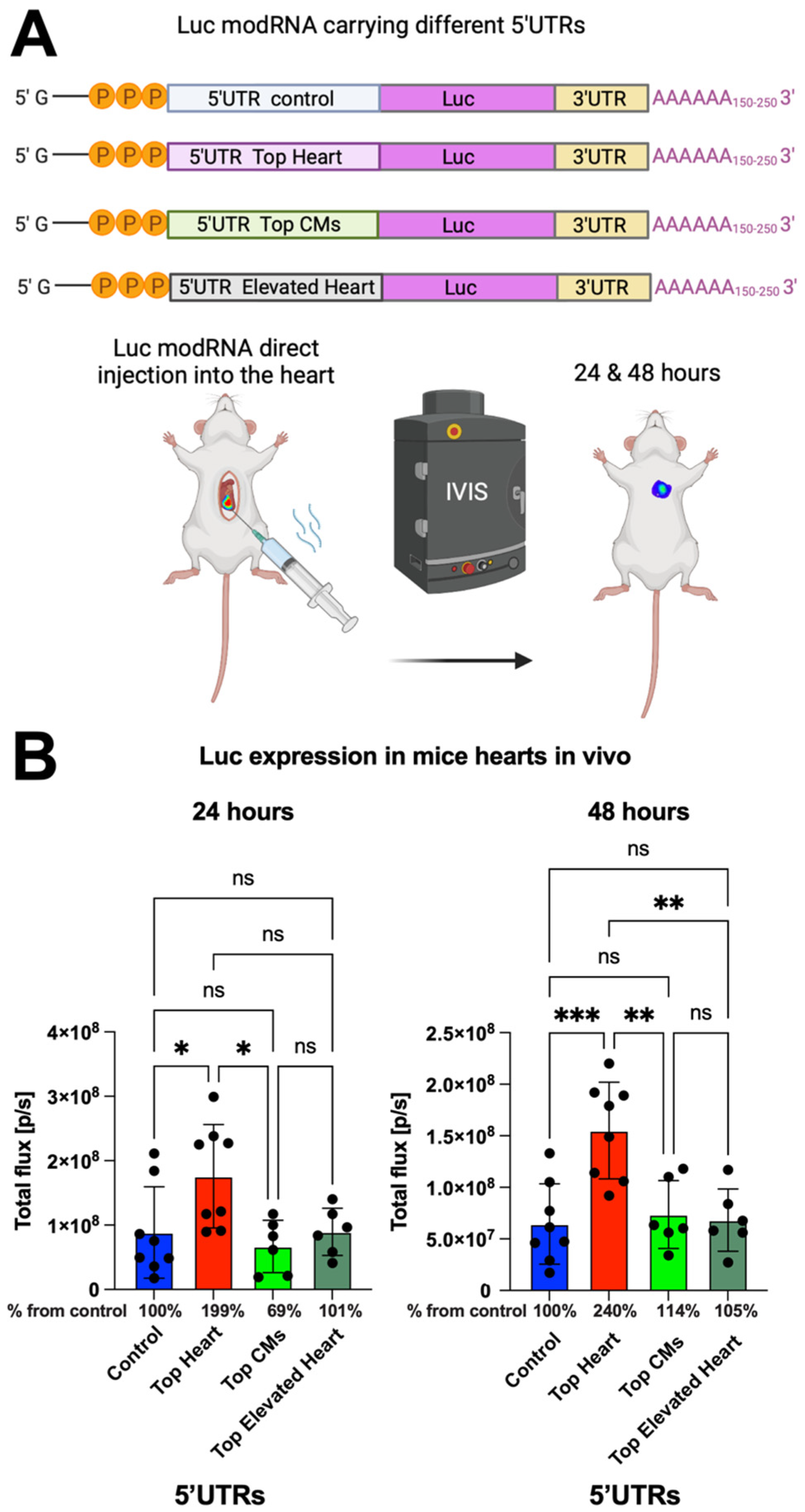 Pharmaceutics 17 00490 g002