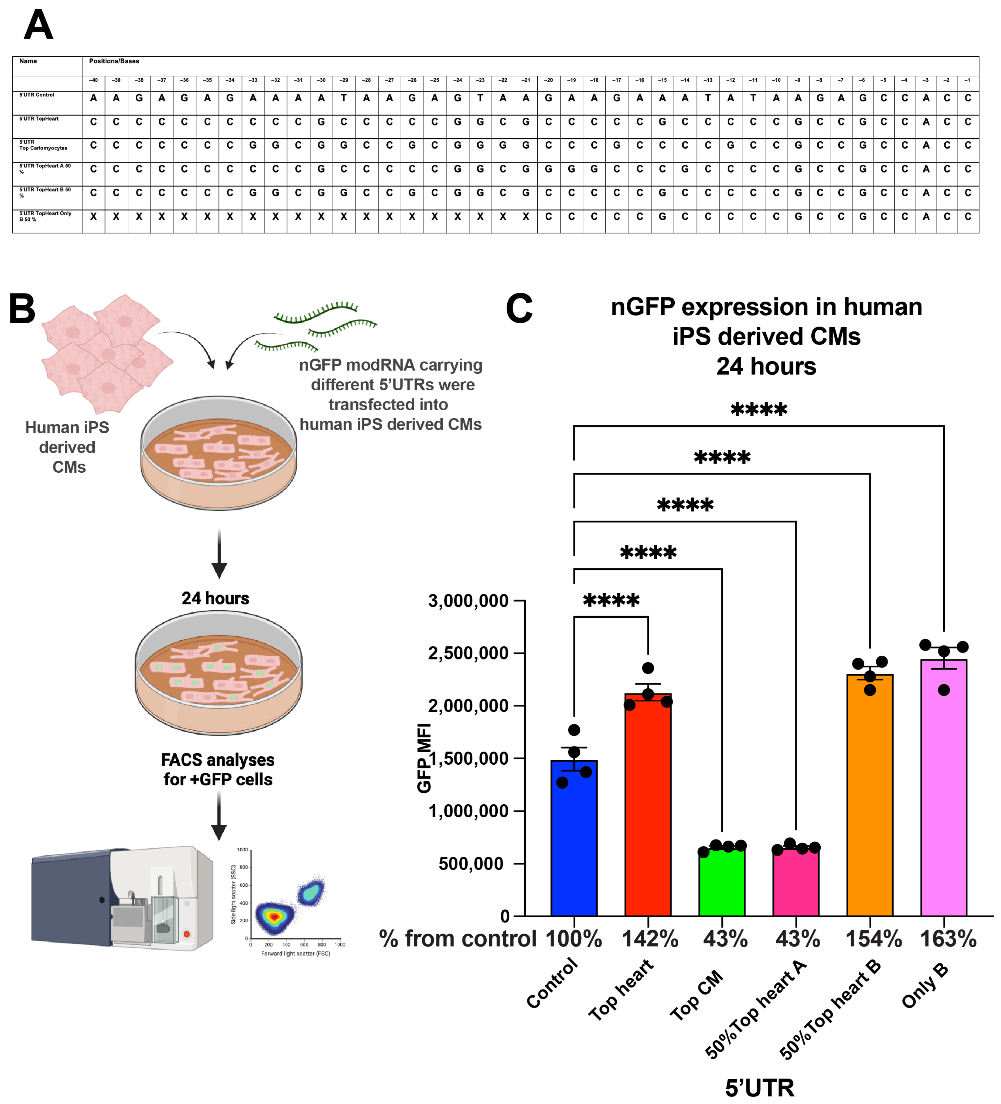 Pharmaceutics 17 00490 g004
