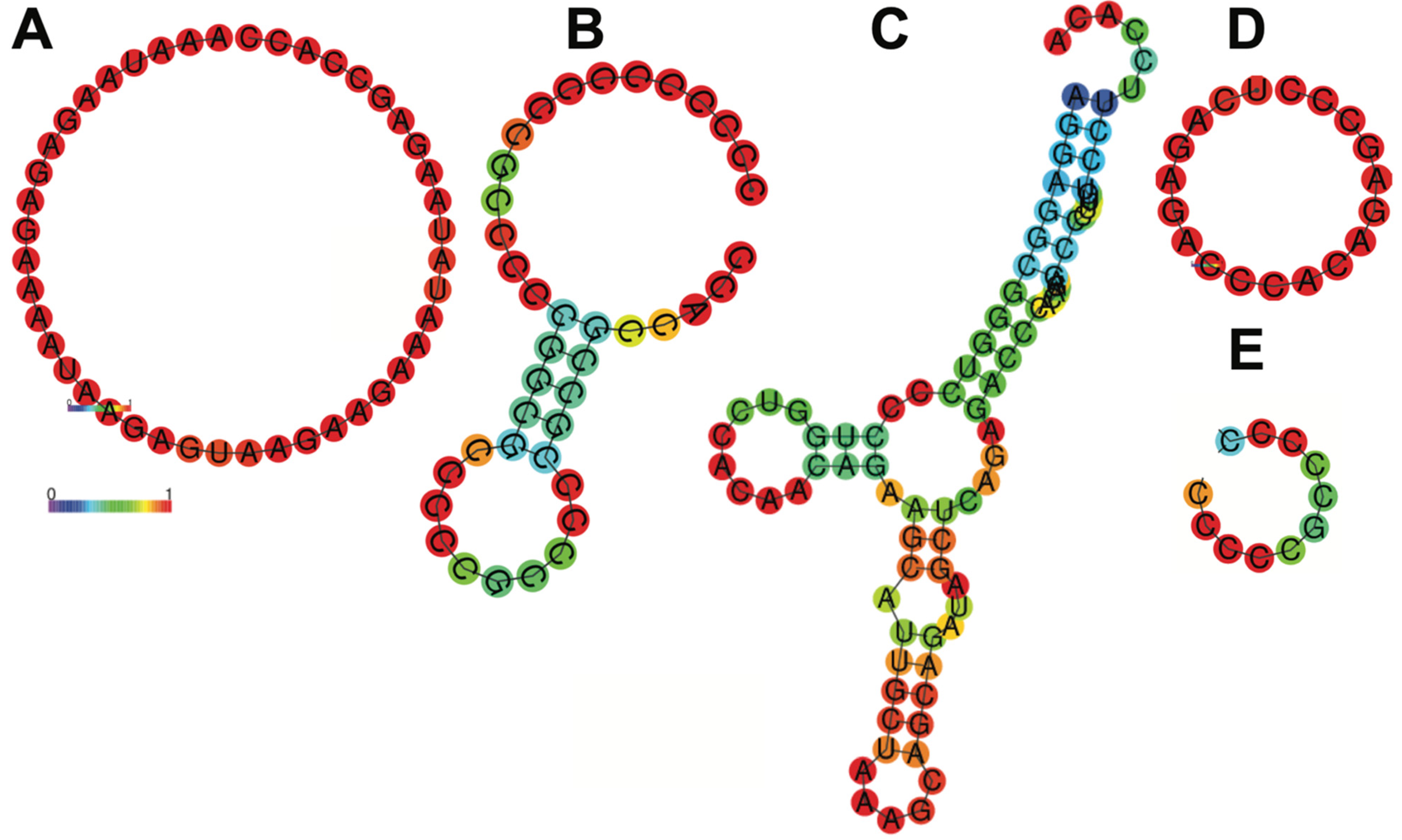 Pharmaceutics 17 00490 g005