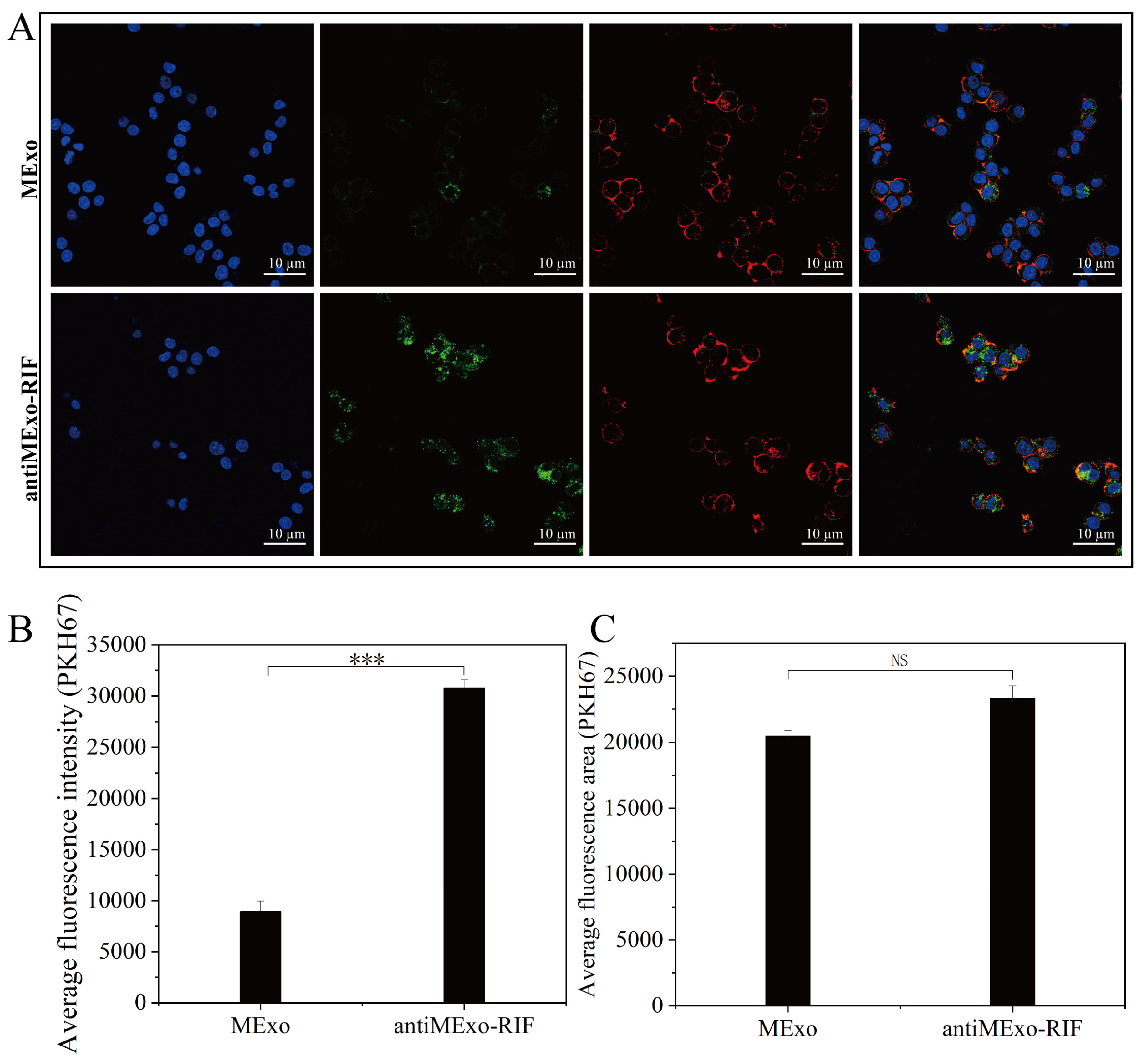 Pharmaceutics 17 00494 g002