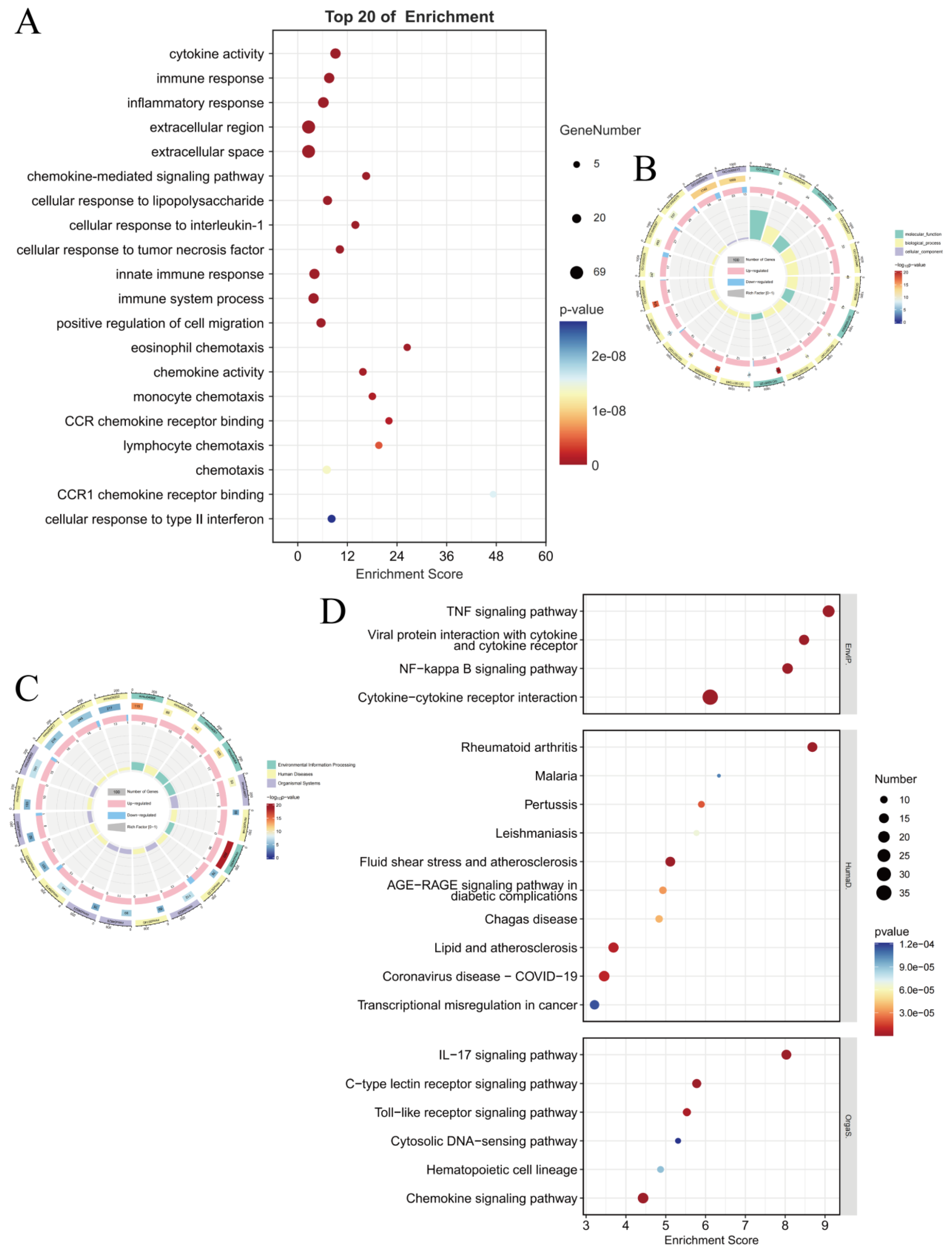 Pharmaceutics 17 00494 g004