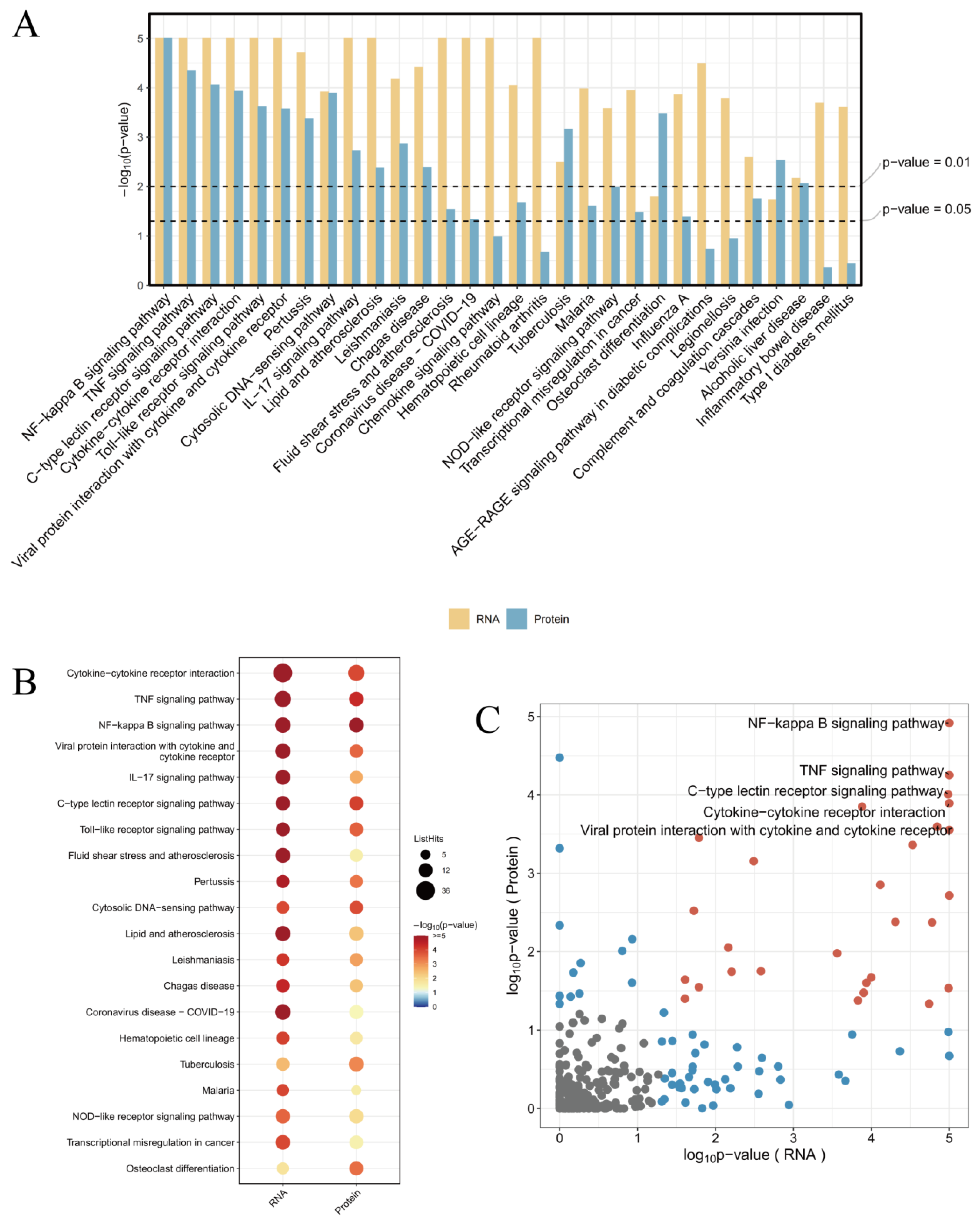 Pharmaceutics 17 00494 g009