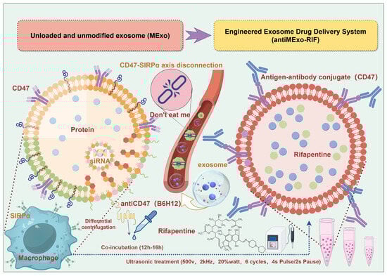 Pharmaceutics 17 00494 sch001