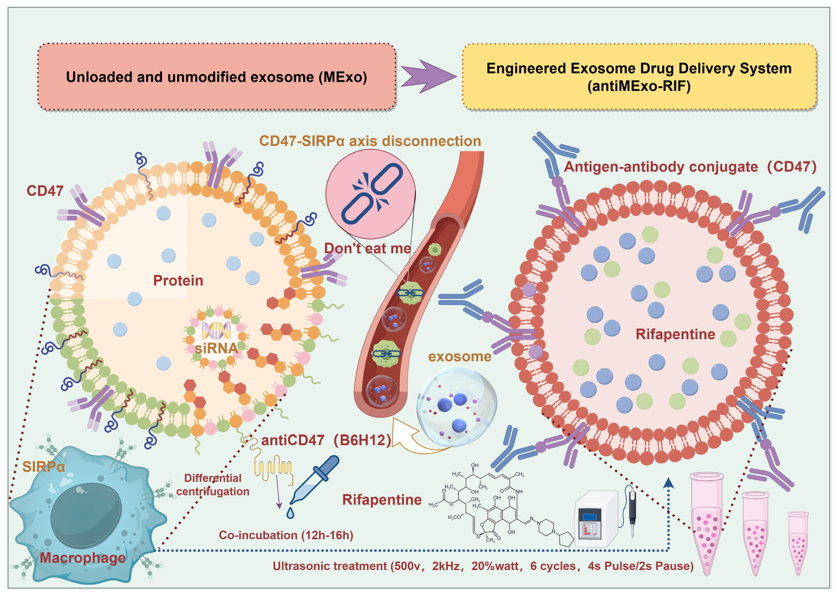 Pharmaceutics 17 00494 sch001