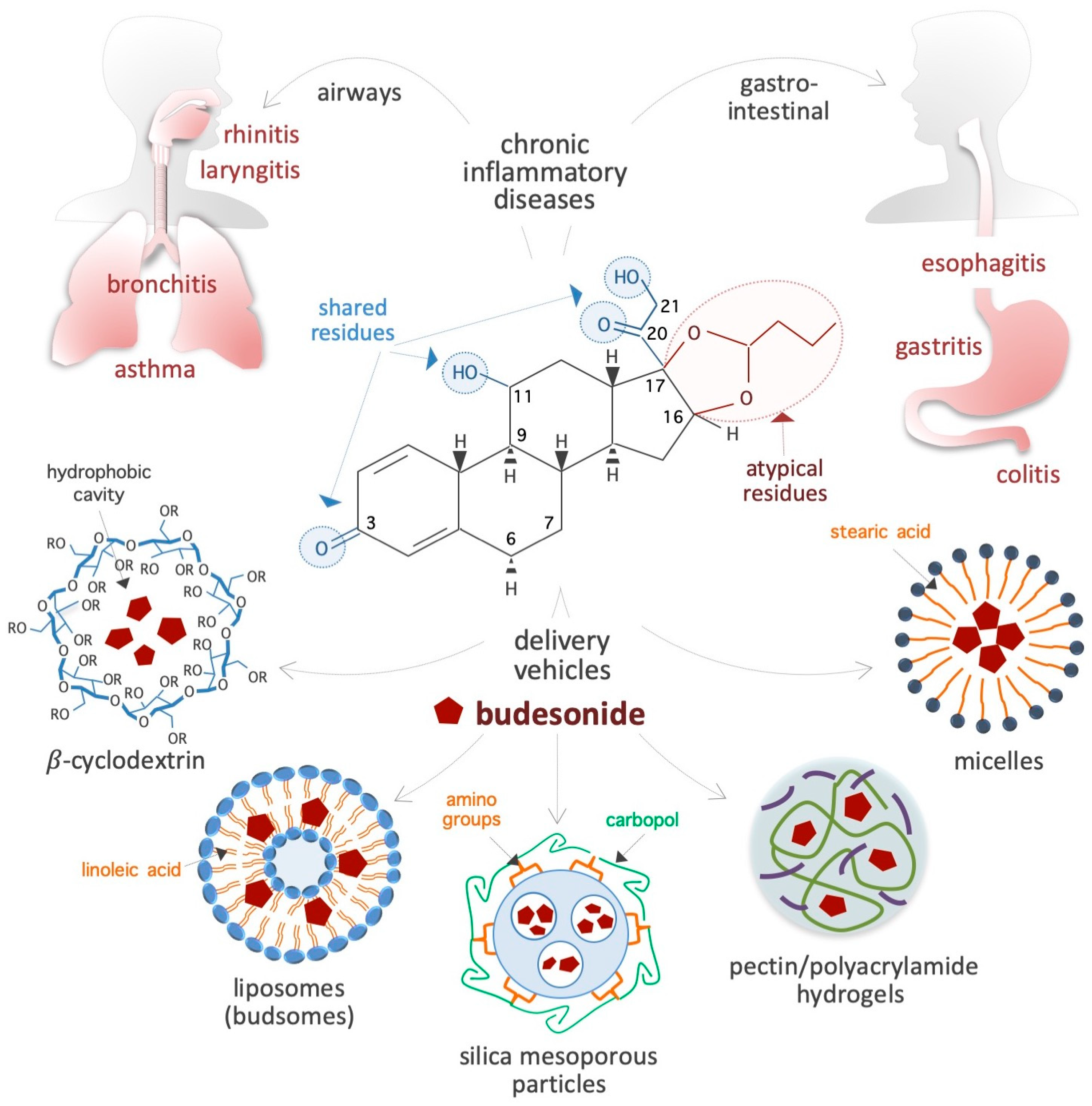 Pharmaceutics 17 00504 g001