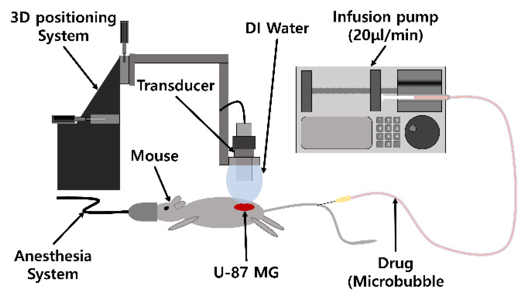 Pharmaceutics 17 00509 g001