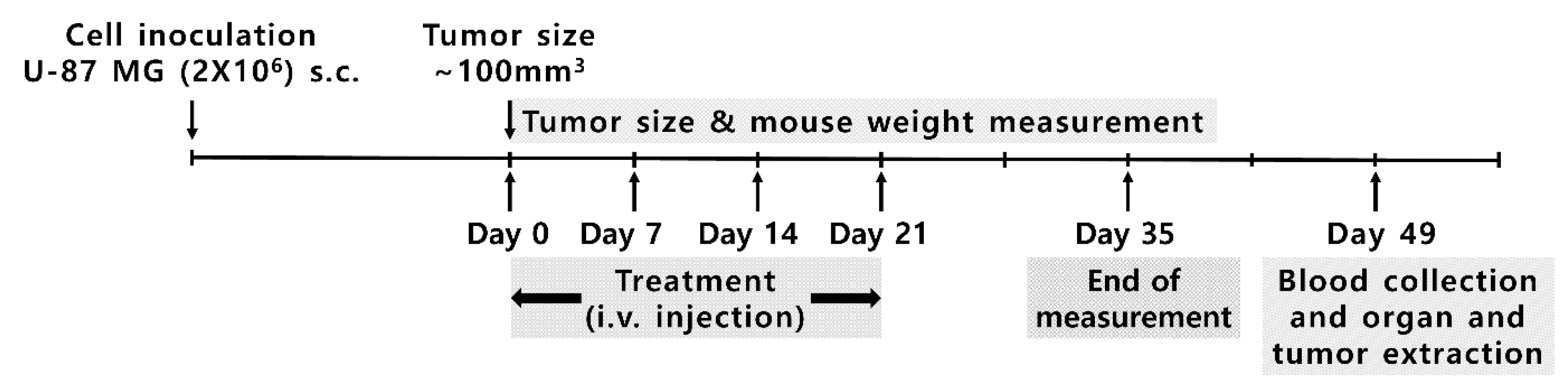 Pharmaceutics 17 00509 g002
