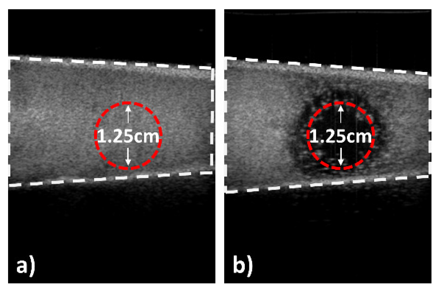 Pharmaceutics 17 00509 g007