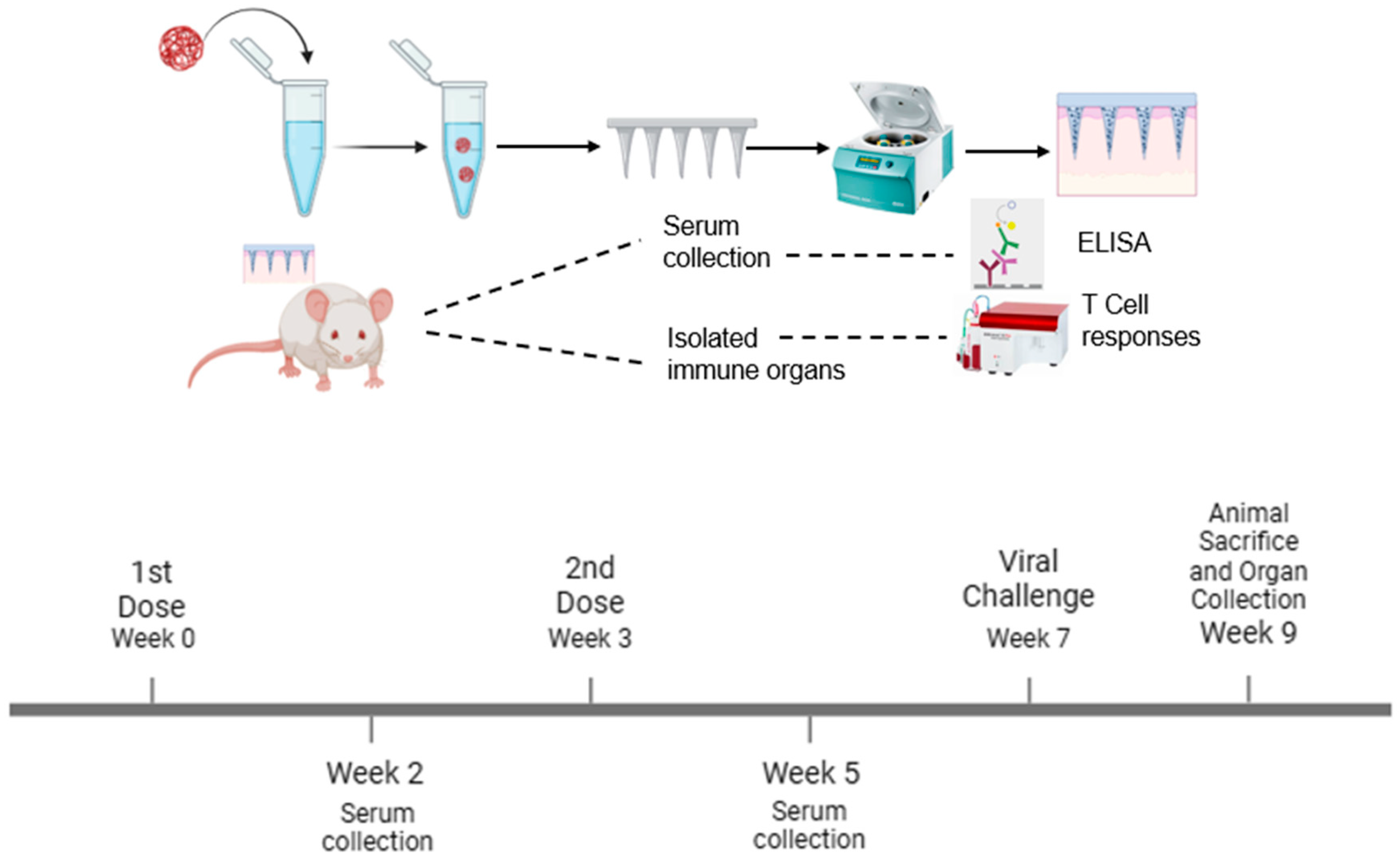 Pharmaceutics 17 00510 g001 Pharmaceutics 17 00510 g001