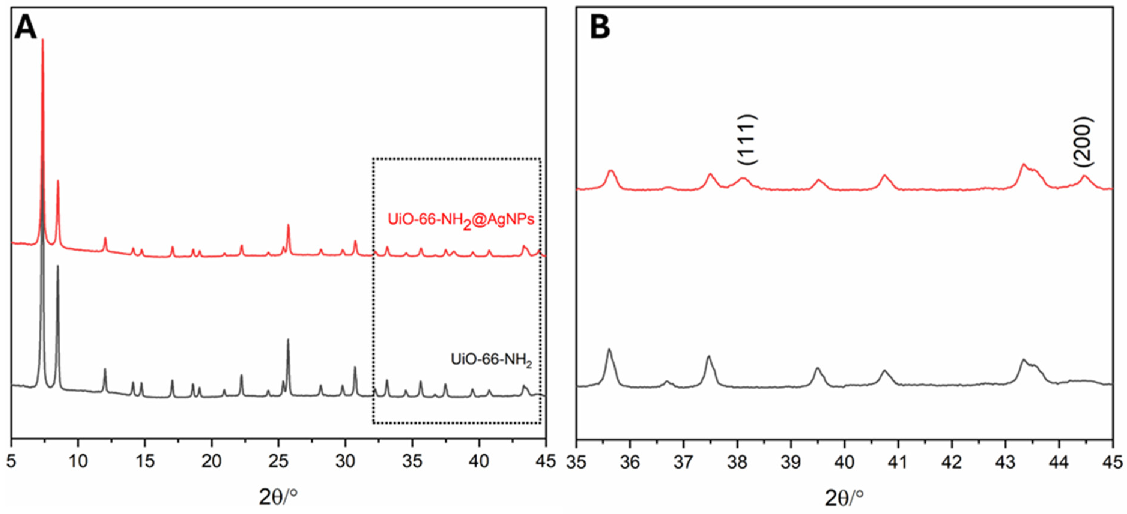 Pharmaceutics 17 00512 g002
