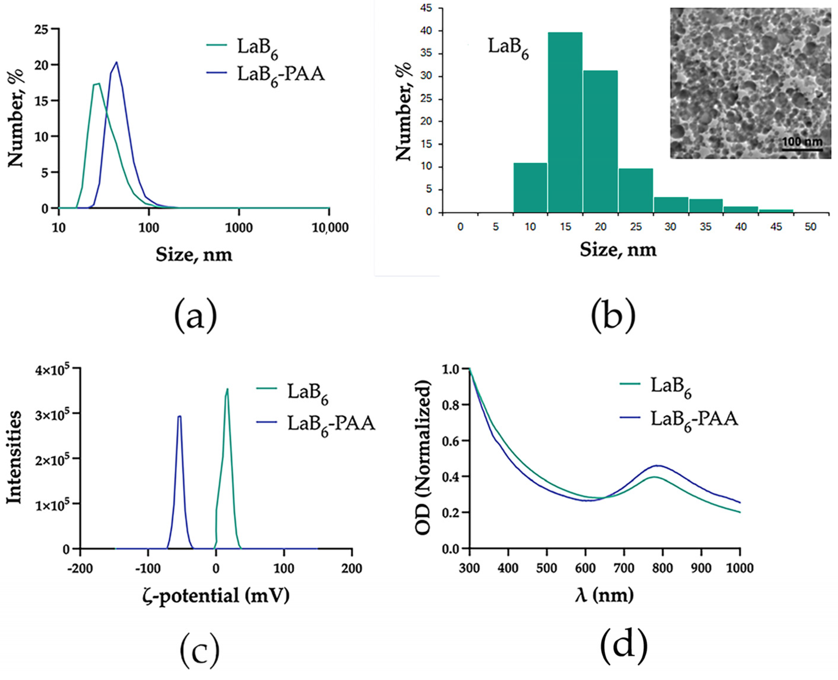 Pharmaceutics 17 00515 g001