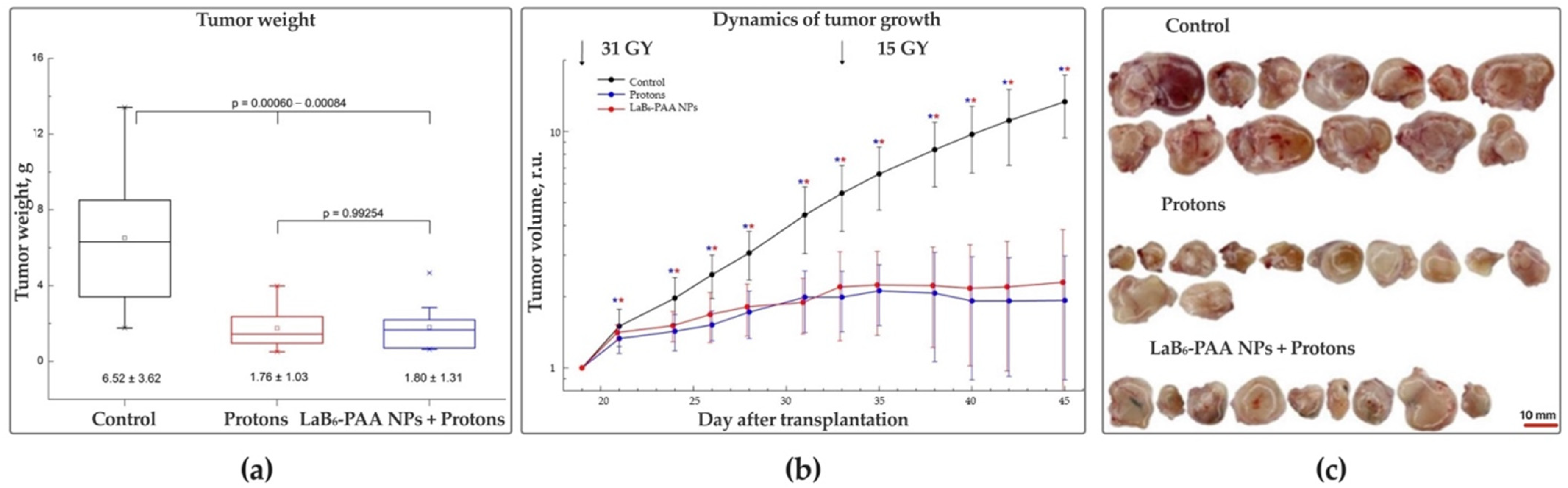 Pharmaceutics 17 00515 g008