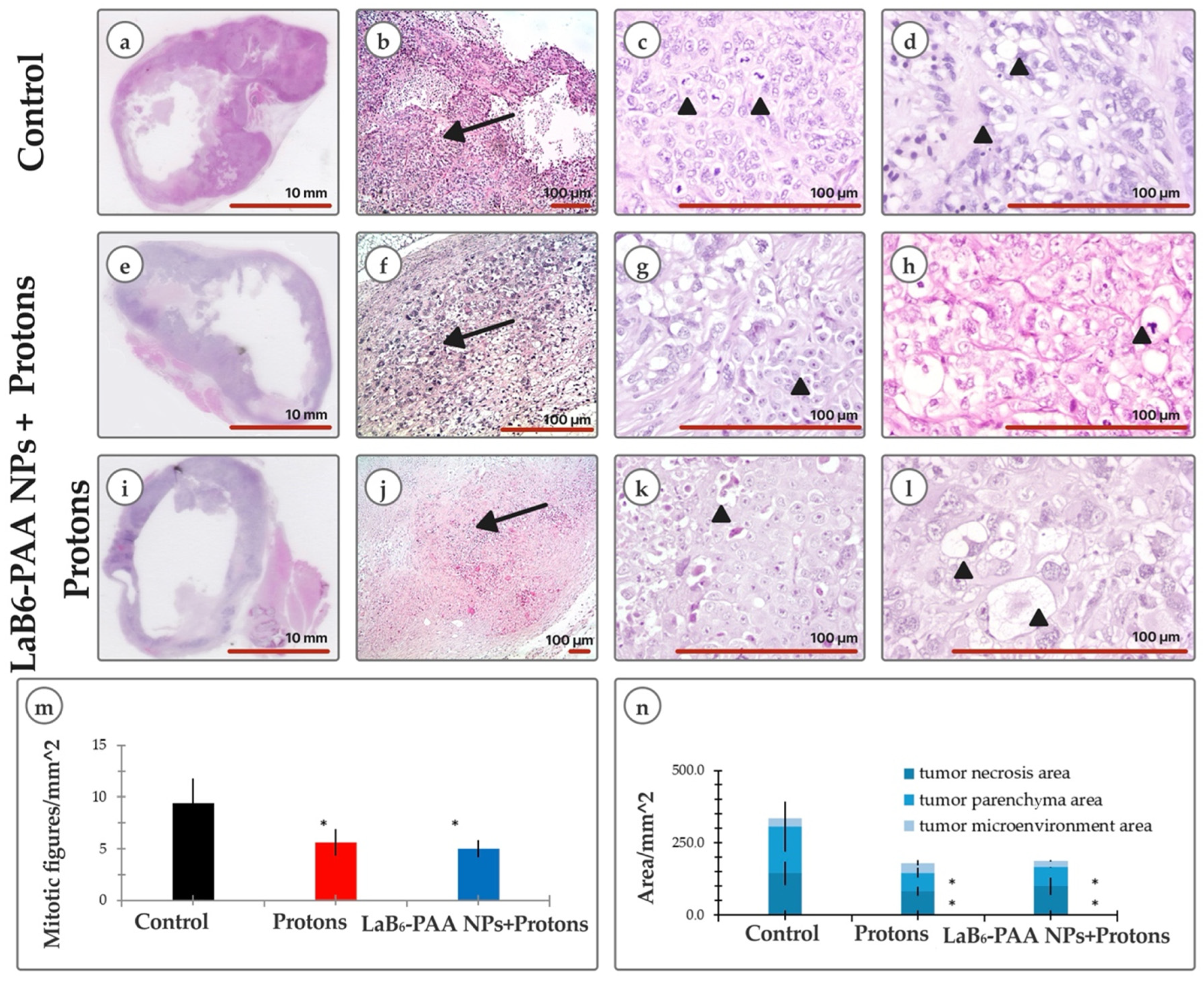 Pharmaceutics 17 00515 g009