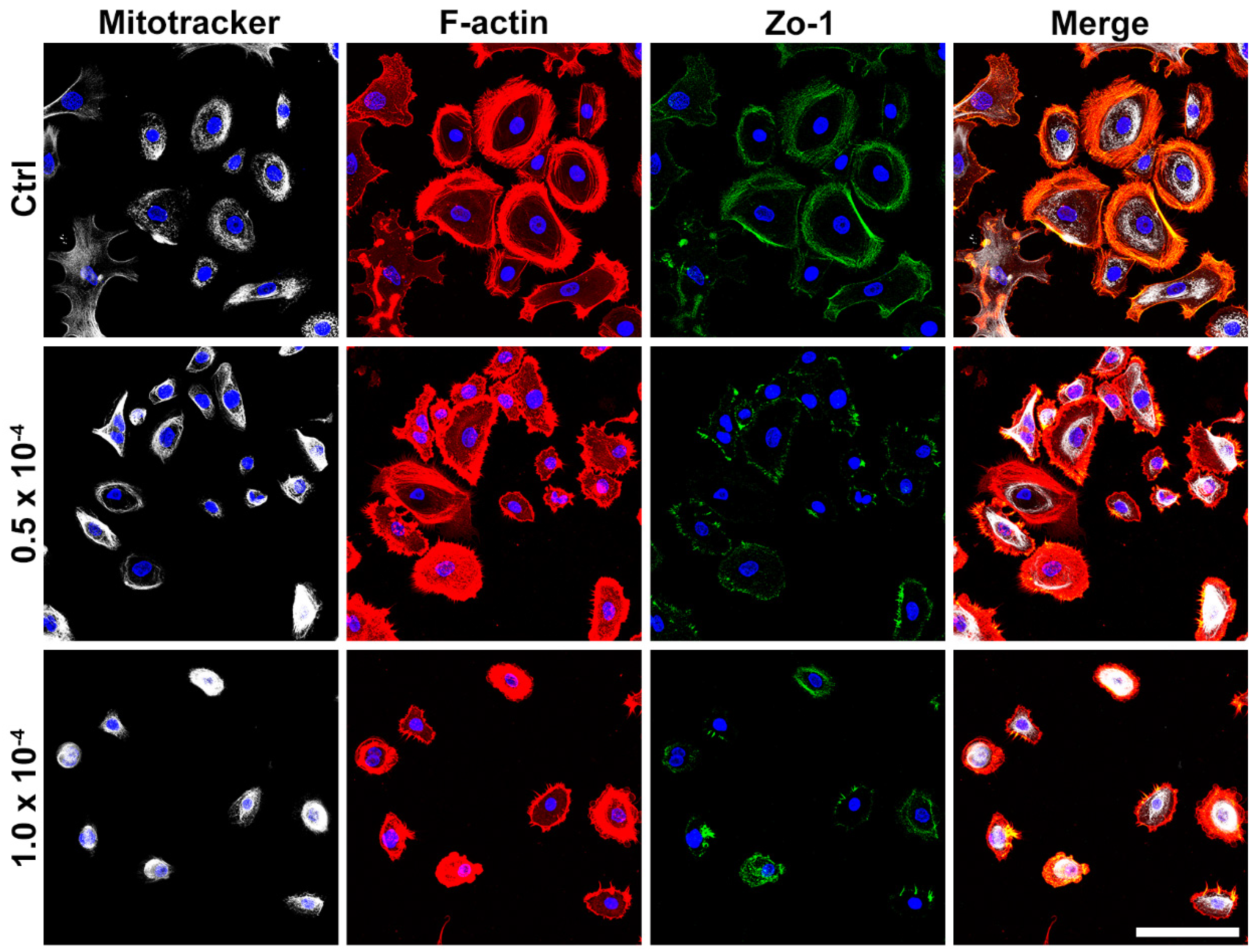 Pharmaceutics 17 00522 g003