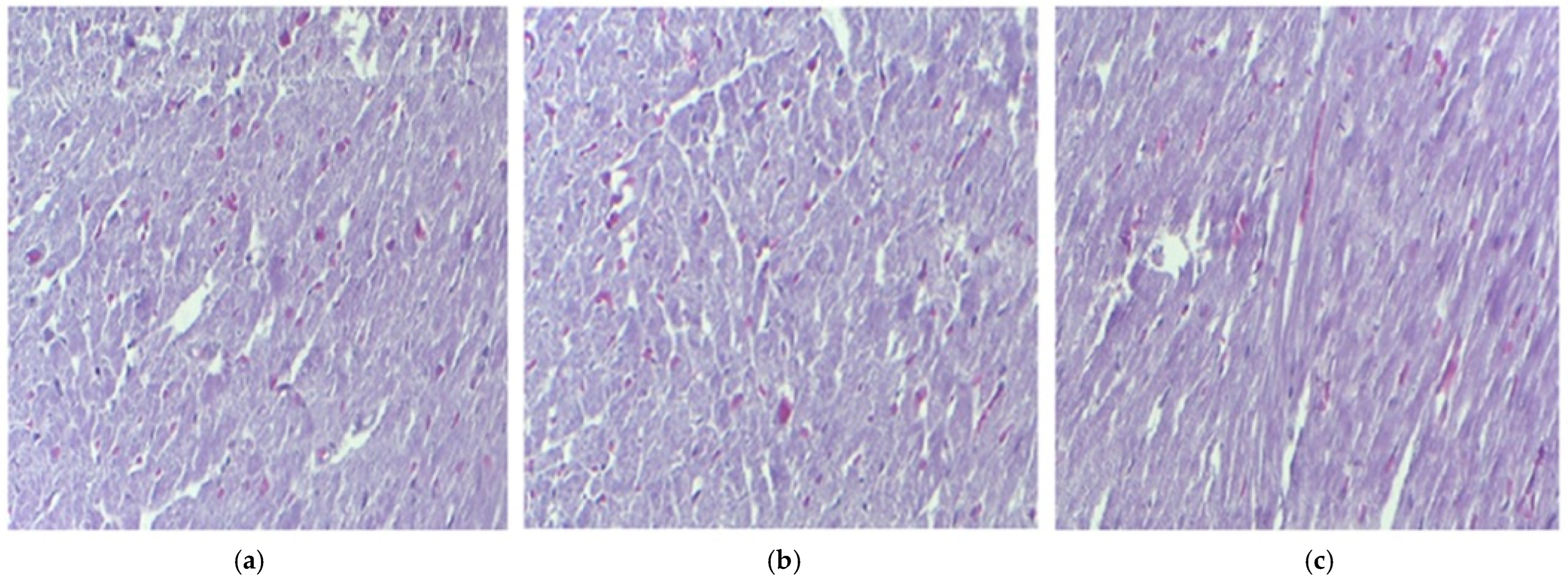Pharmaceutics 17 00523 g003