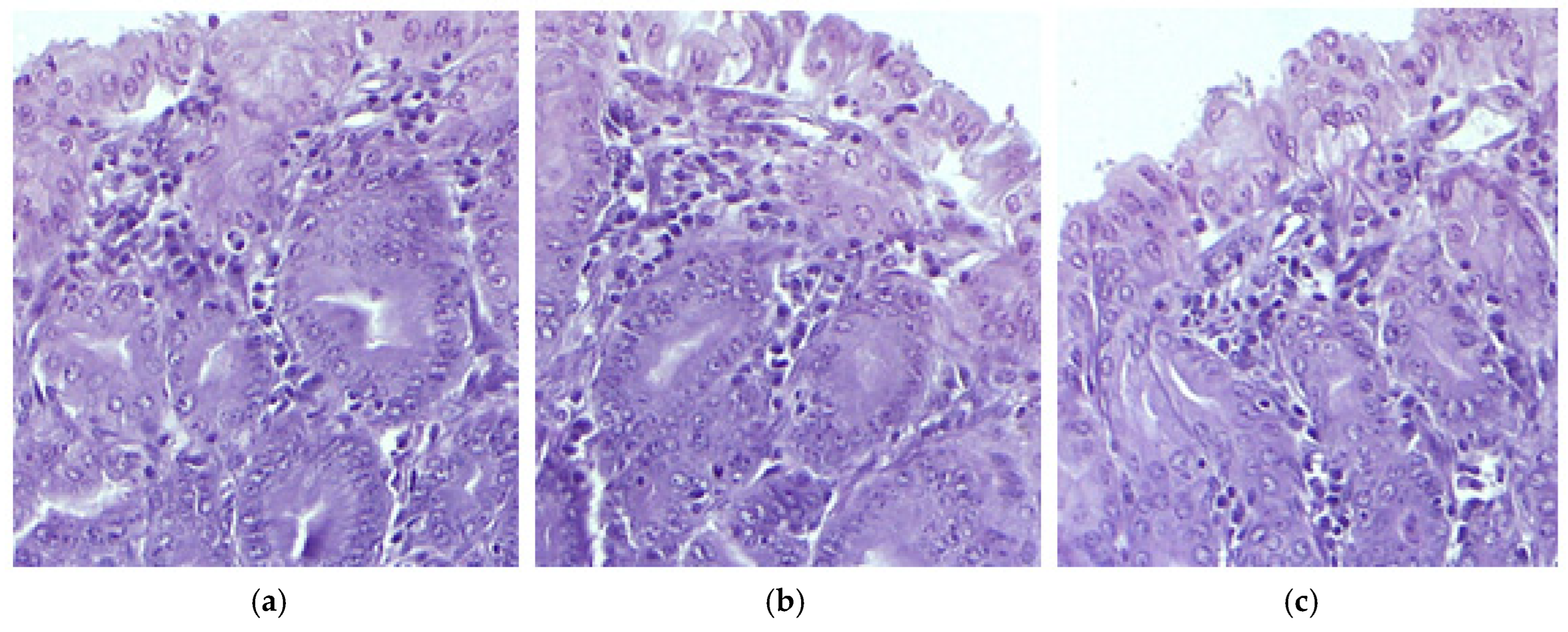 Pharmaceutics 17 00523 g004