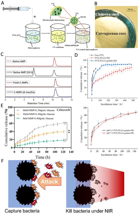 Pharmaceutics 17 00529 g002