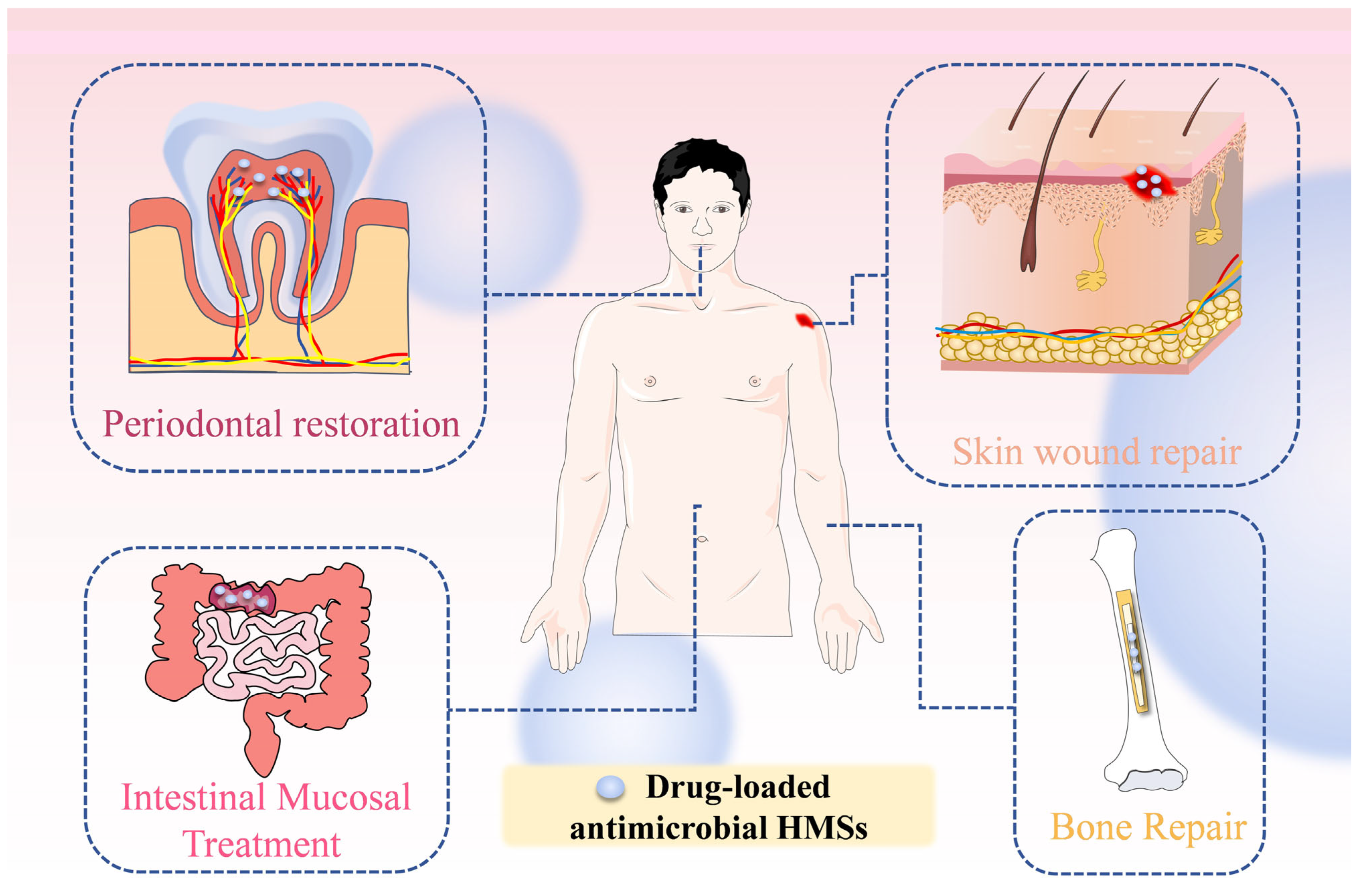Pharmaceutics 17 00529 g007 Pharmaceutics 17 00529 g007