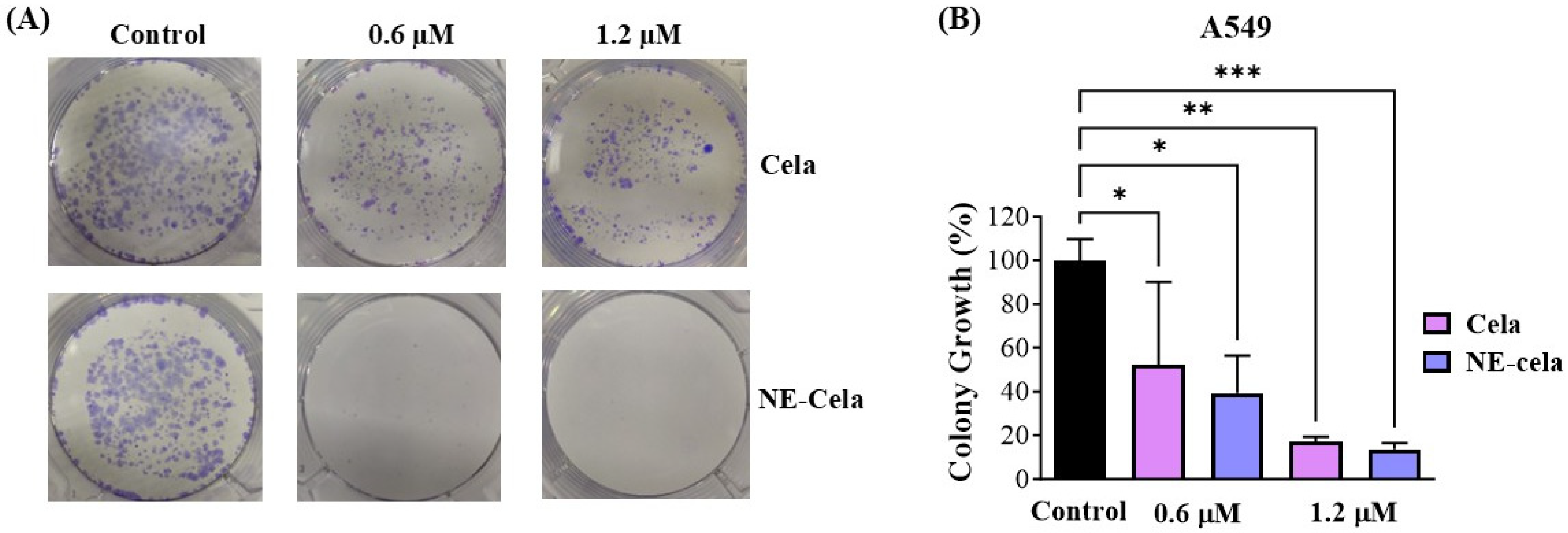Pharmaceutics 17 00540 g006