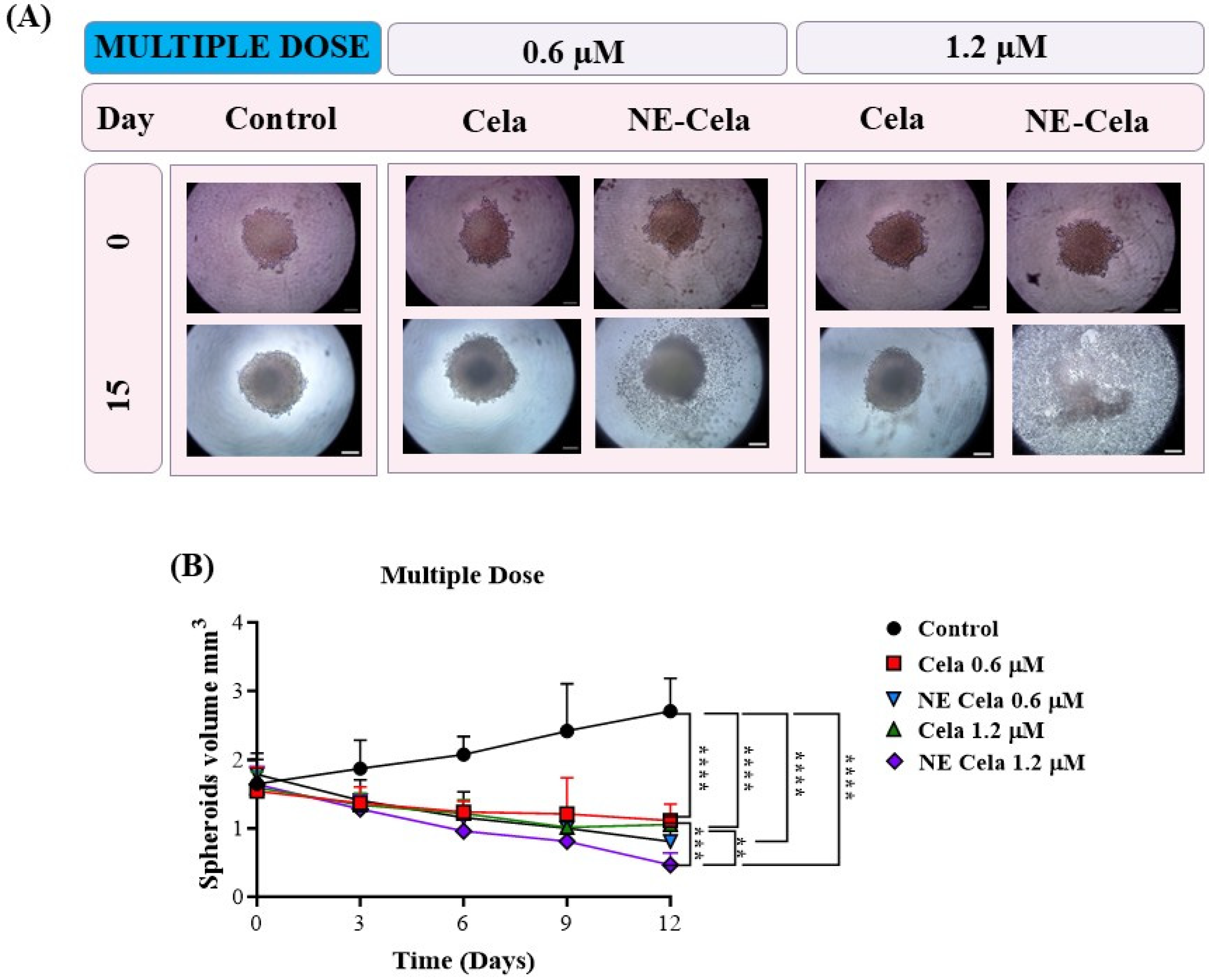 Pharmaceutics 17 00540 g008