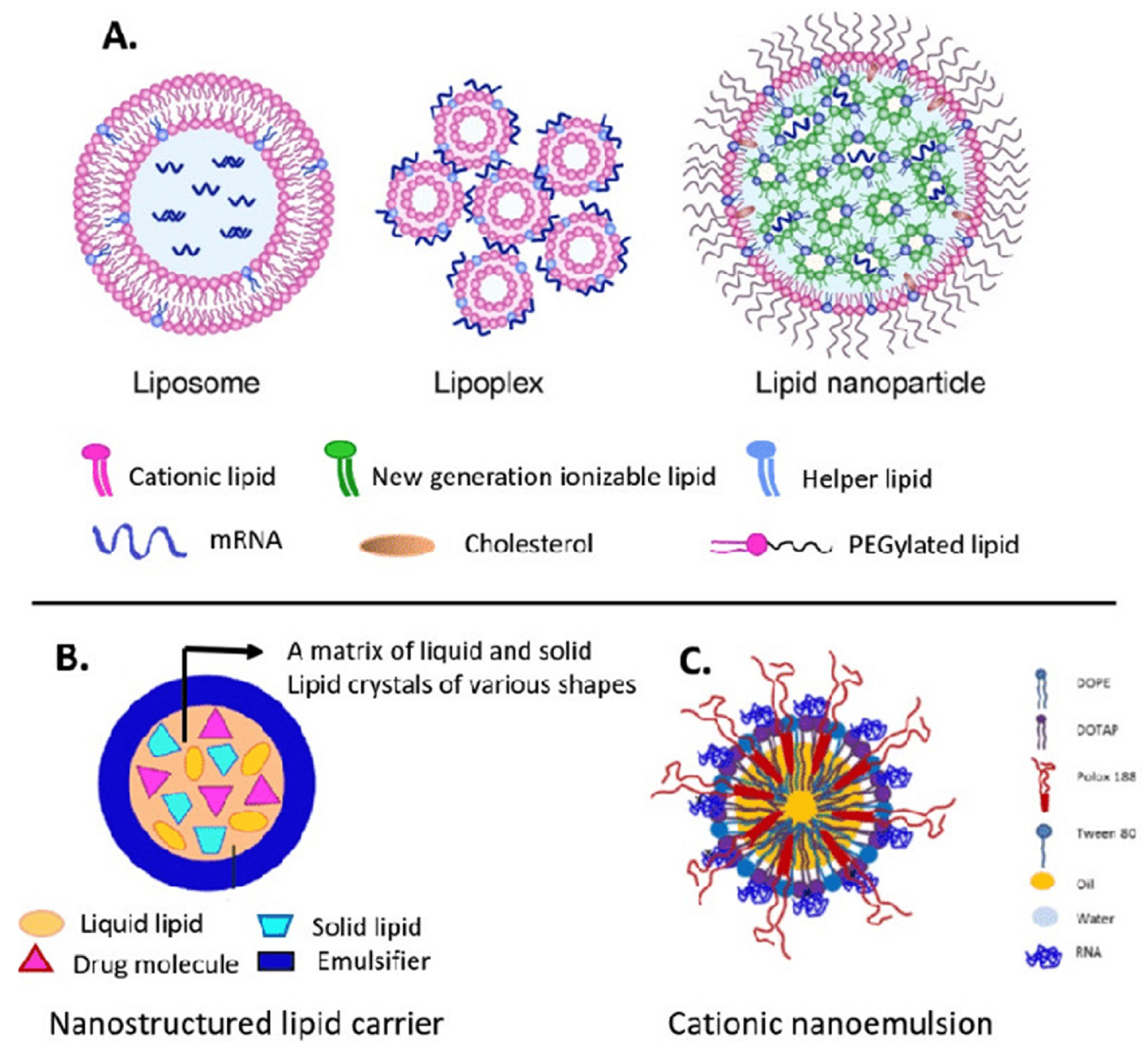 Pharmaceutics 17 00550 g004 Pharmaceutics 17 00550 g004
