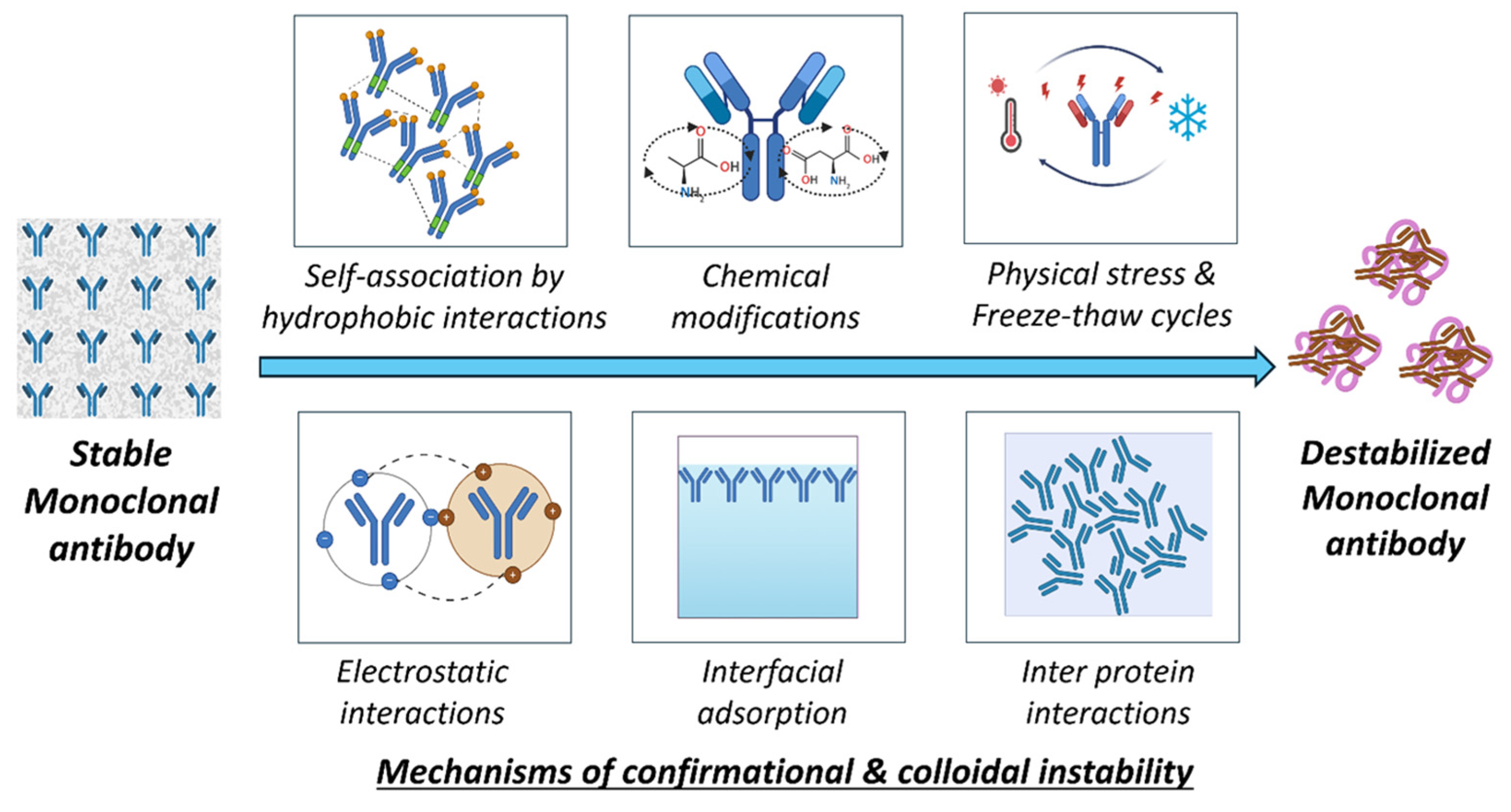 Pharmaceutics 17 00550 g009 Pharmaceutics 17 00550 g009