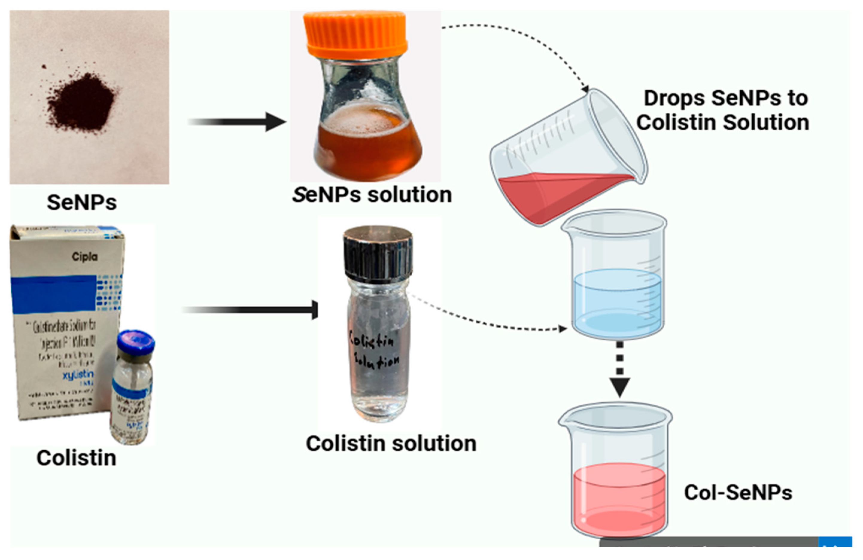 Pharmaceutics 17 00556 g002 Pharmaceutics 17 00556 g002