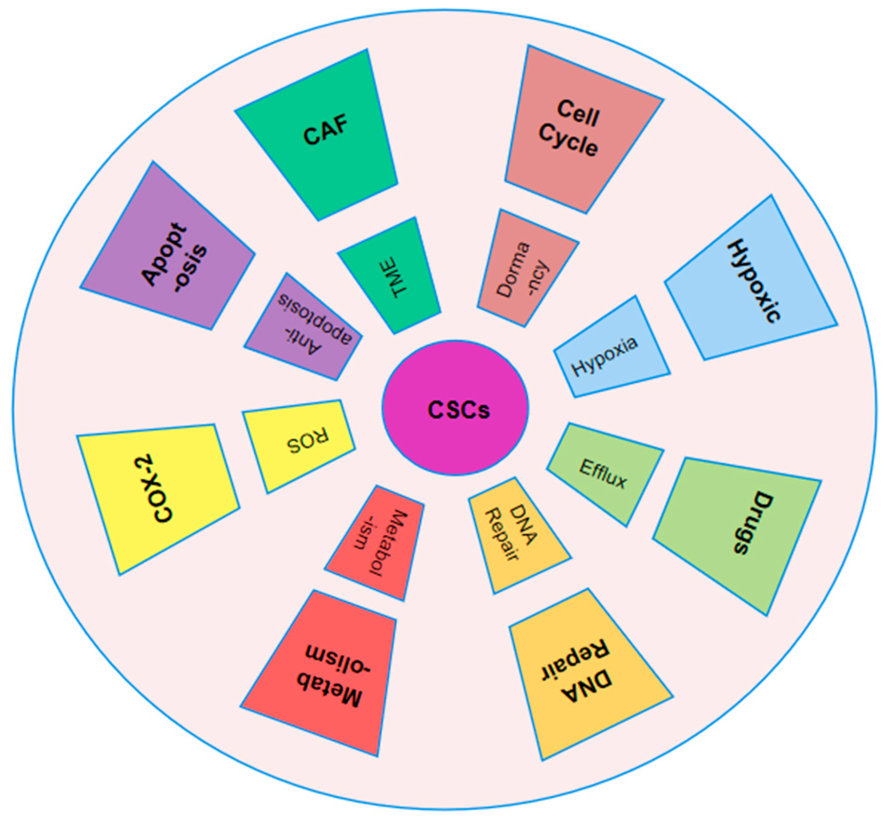 Pharmaceutics 17 00559 g002 Pharmaceutics 17 00559 g002