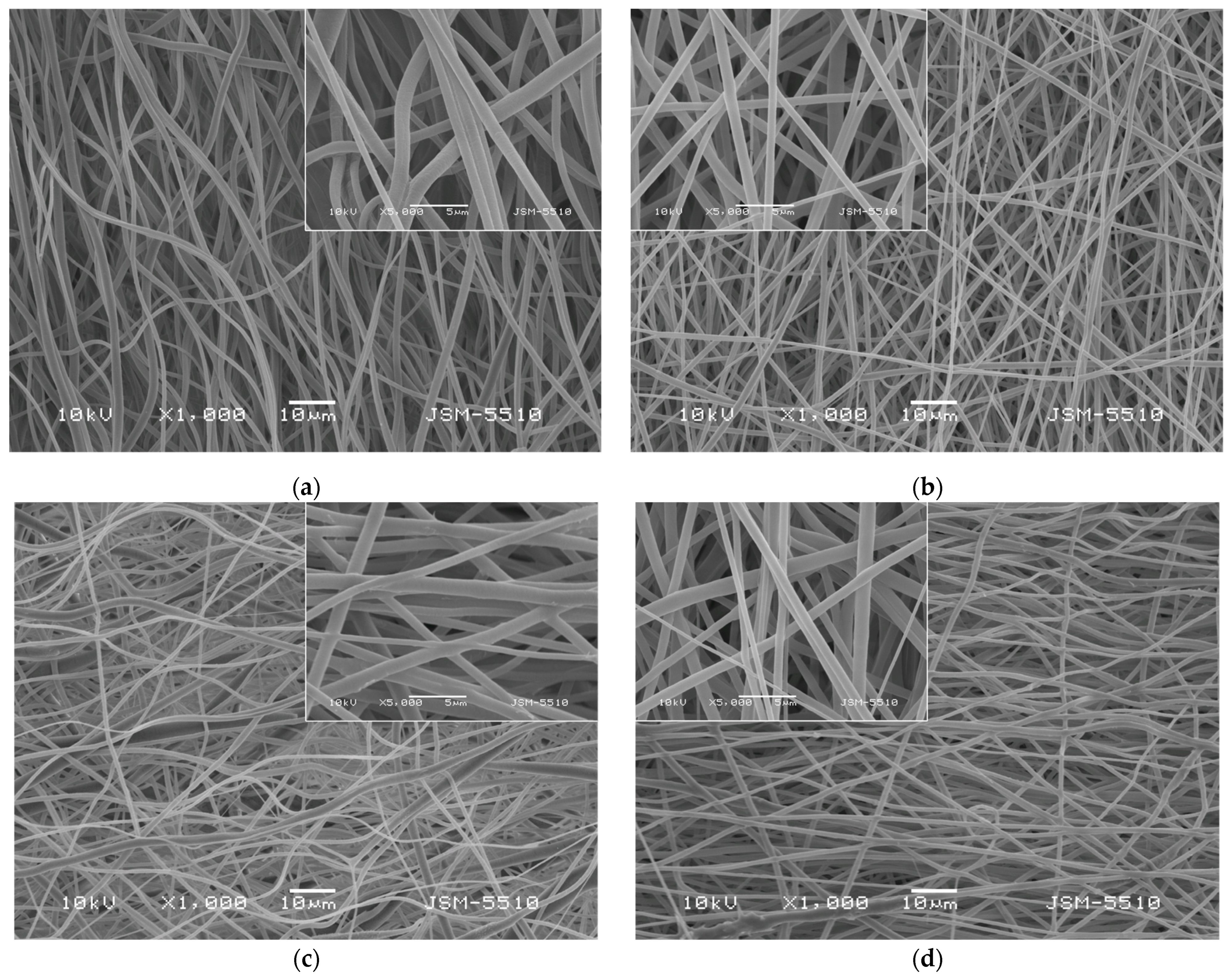 Pharmaceutics 17 00577 g001
