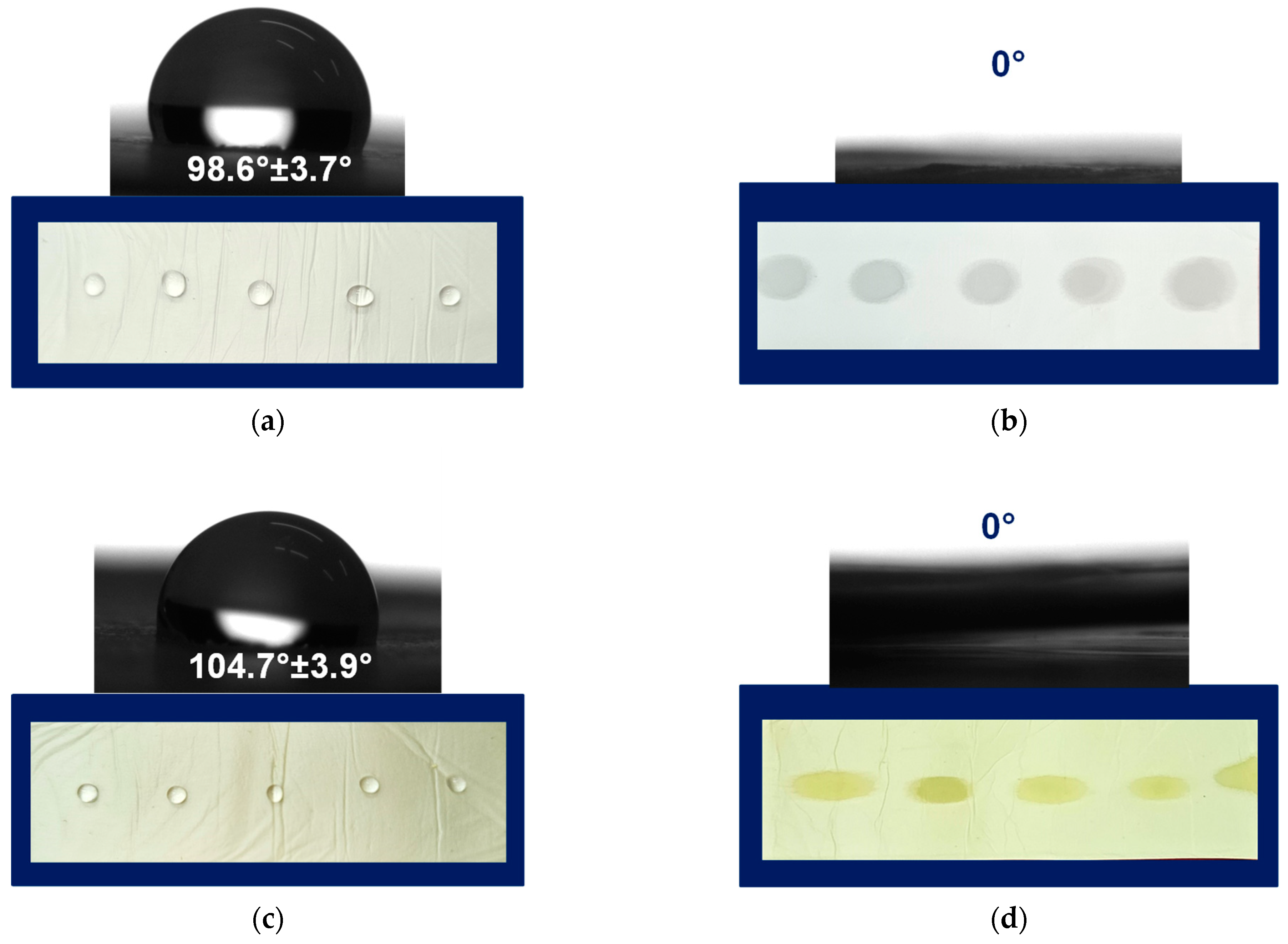 Pharmaceutics 17 00577 g003