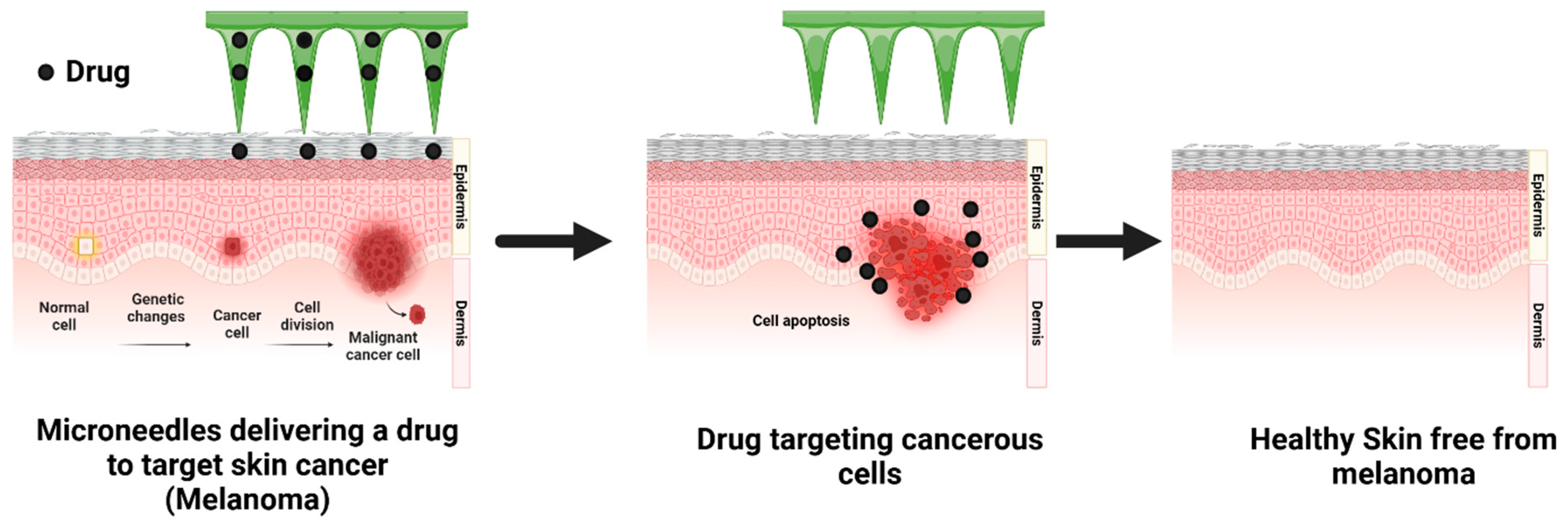 Pharmaceutics 17 00579 g001 Pharmaceutics 17 00579 g001