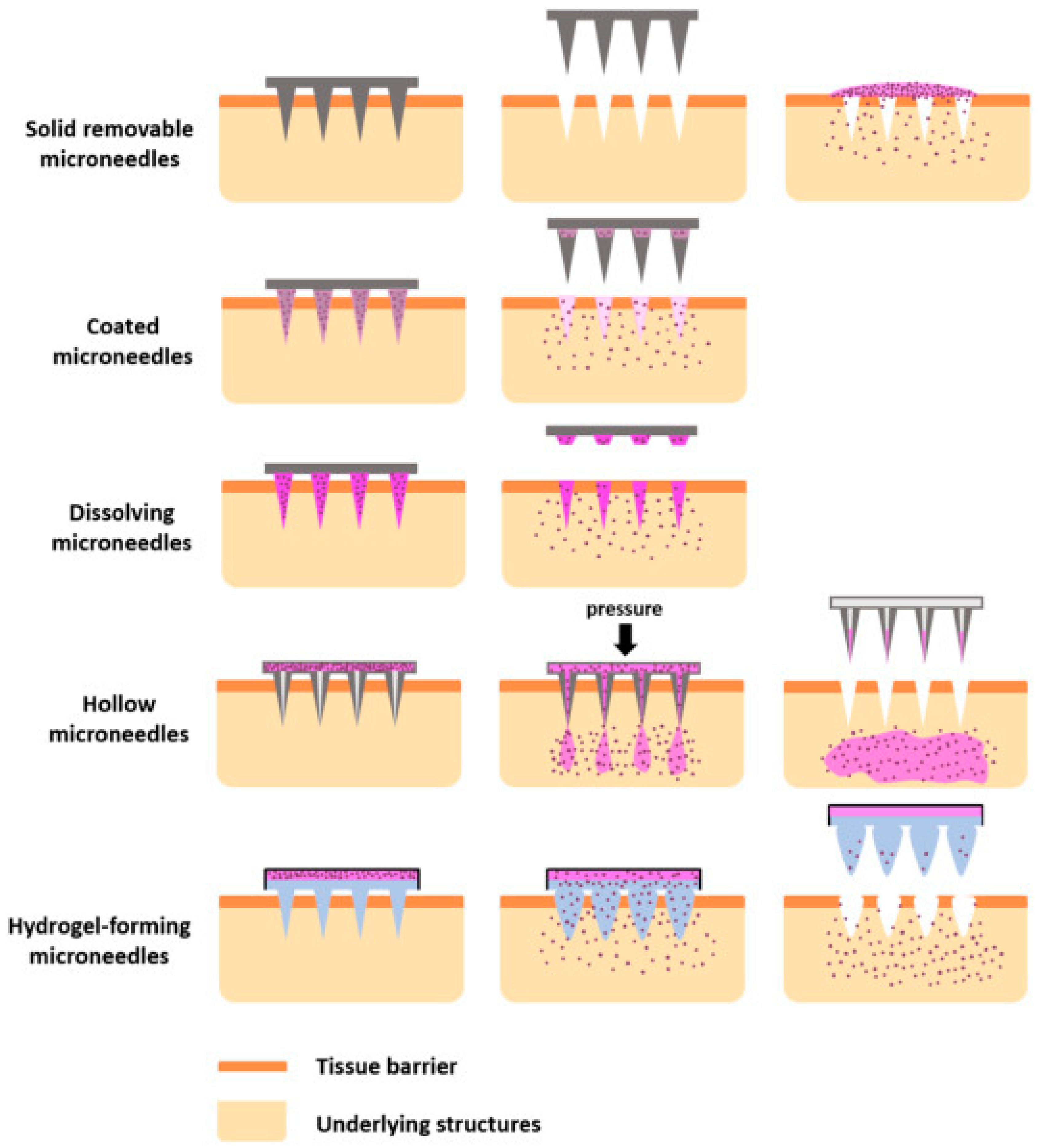 Pharmaceutics 17 00579 g002 Pharmaceutics 17 00579 g002