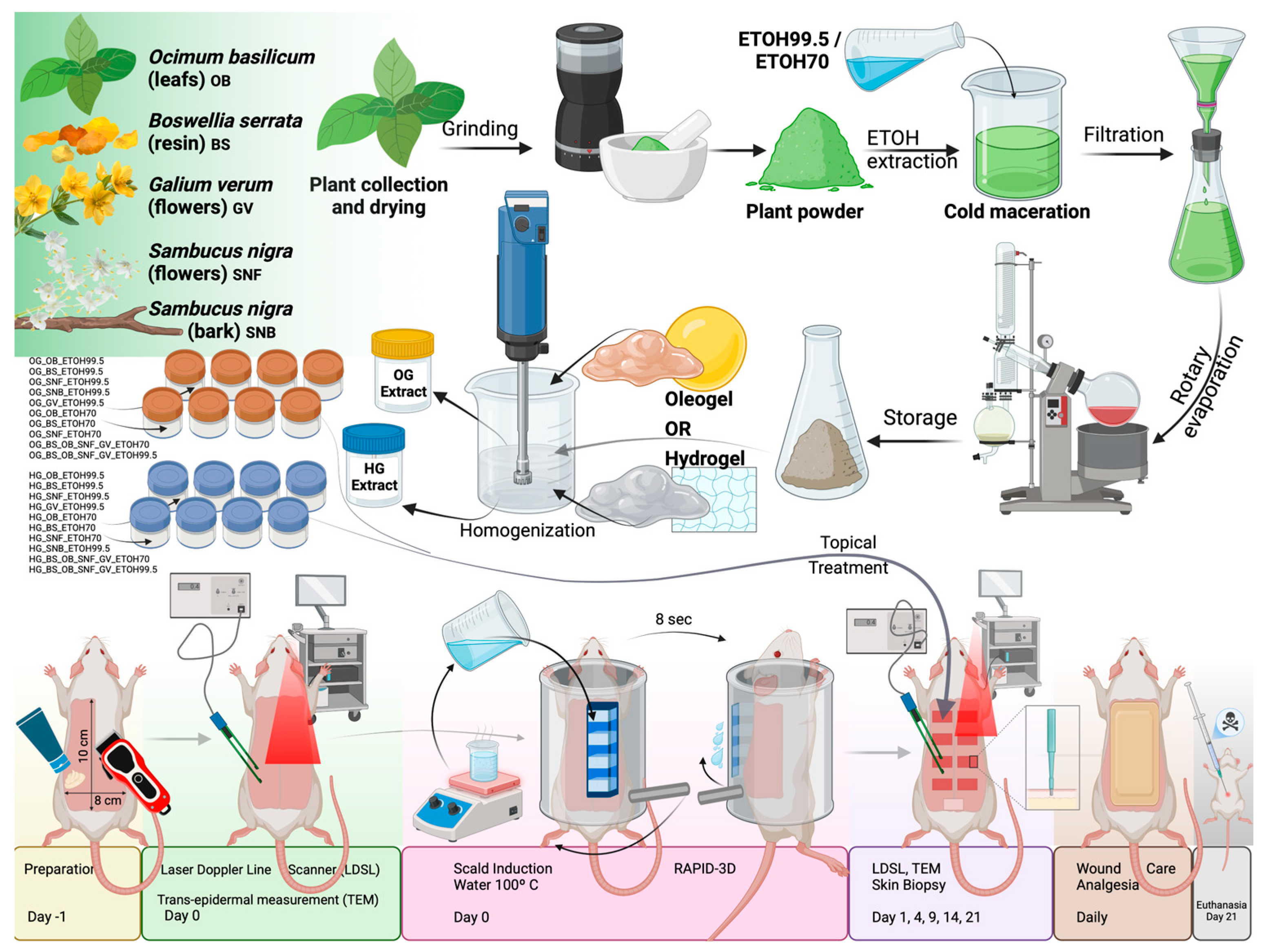 Pharmaceutics 17 00597 g001 Pharmaceutics 17 00597 g001