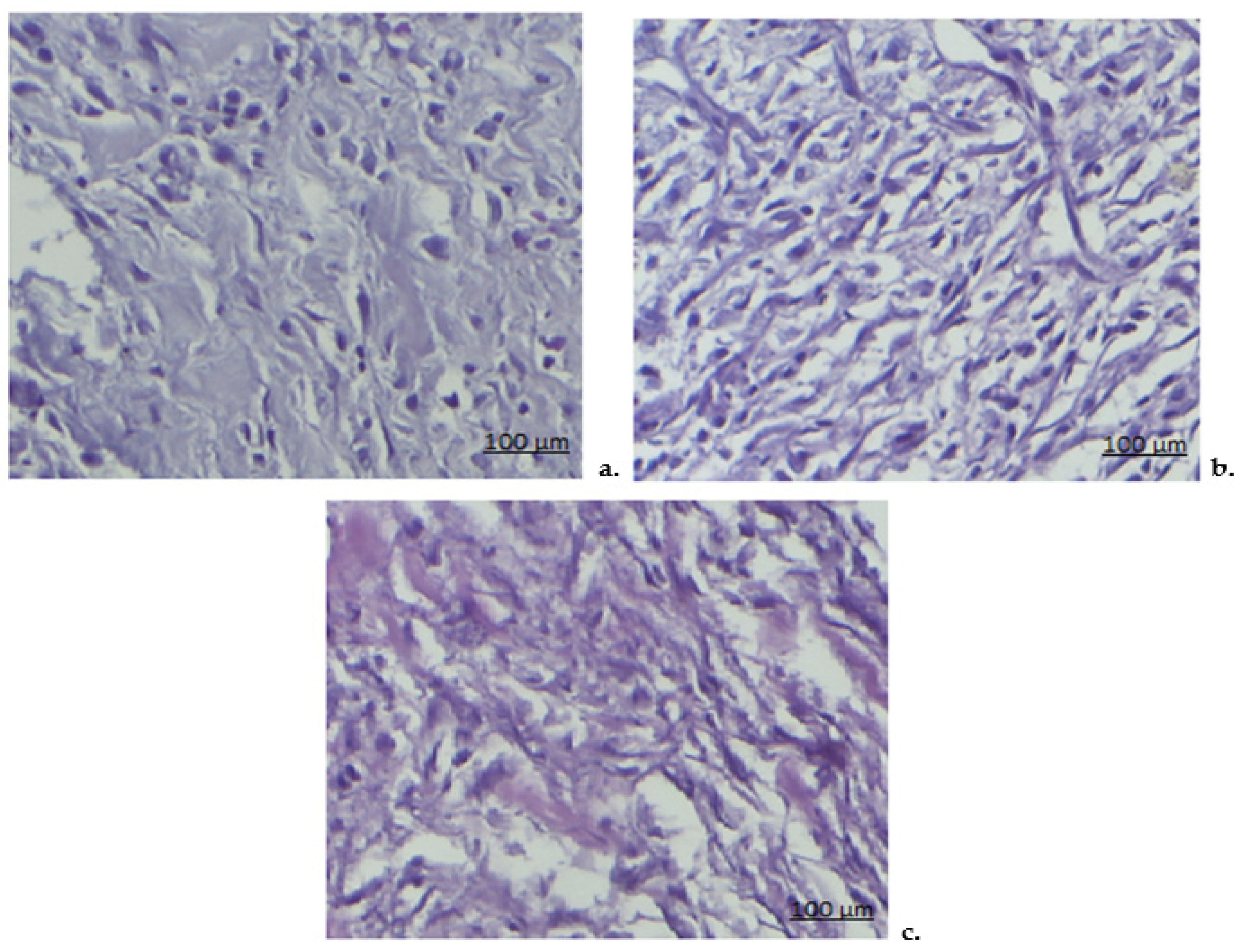 Pharmaceutics 17 00607 g007