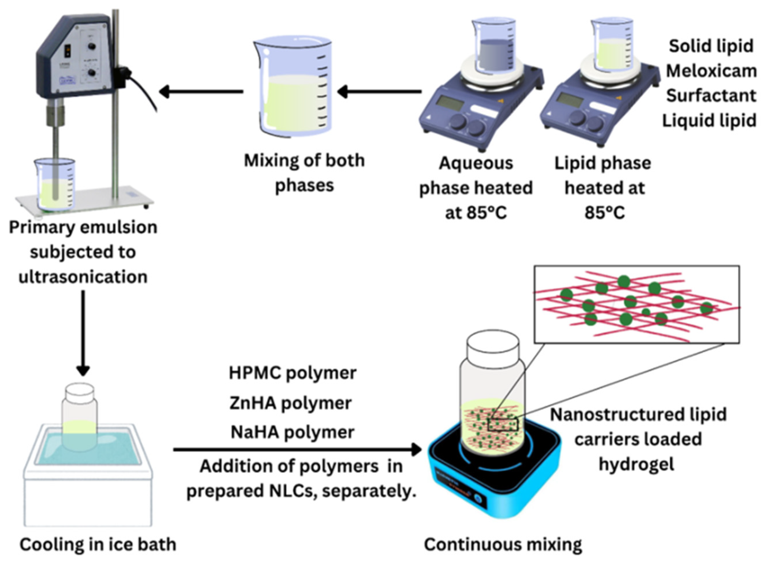 Pharmaceutics 17 00620 g001
