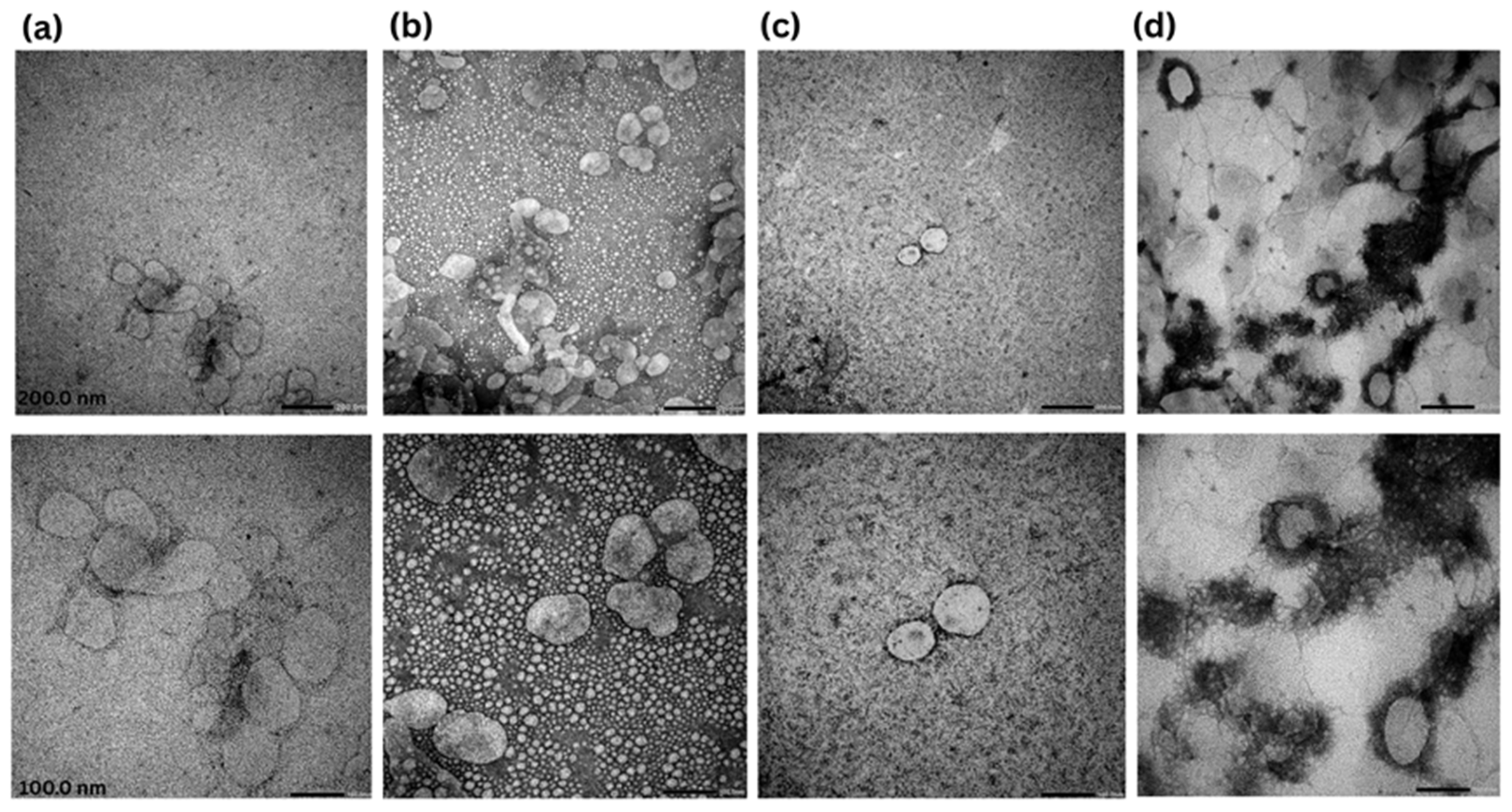 Pharmaceutics 17 00620 g003