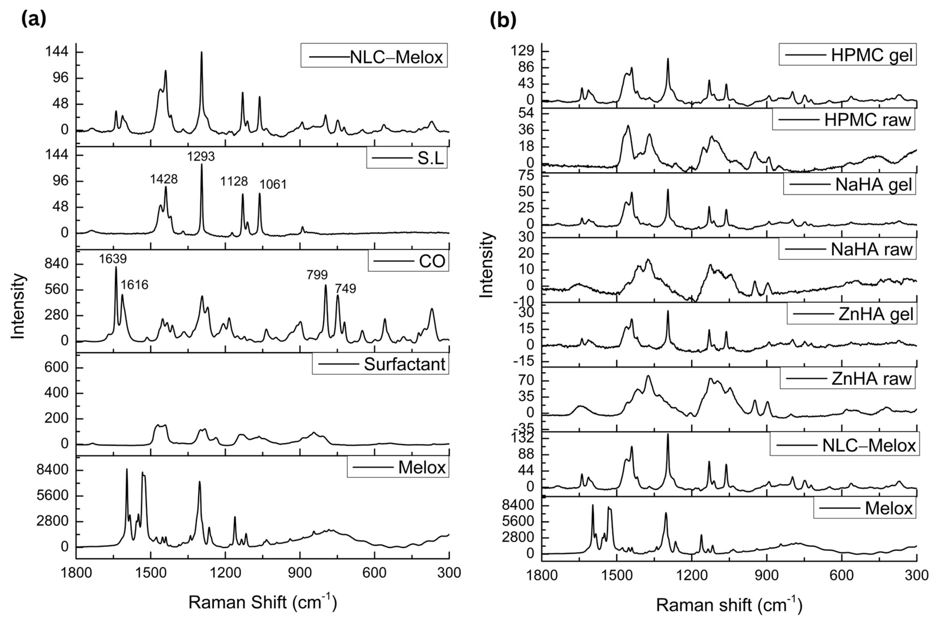 Pharmaceutics 17 00620 g006
