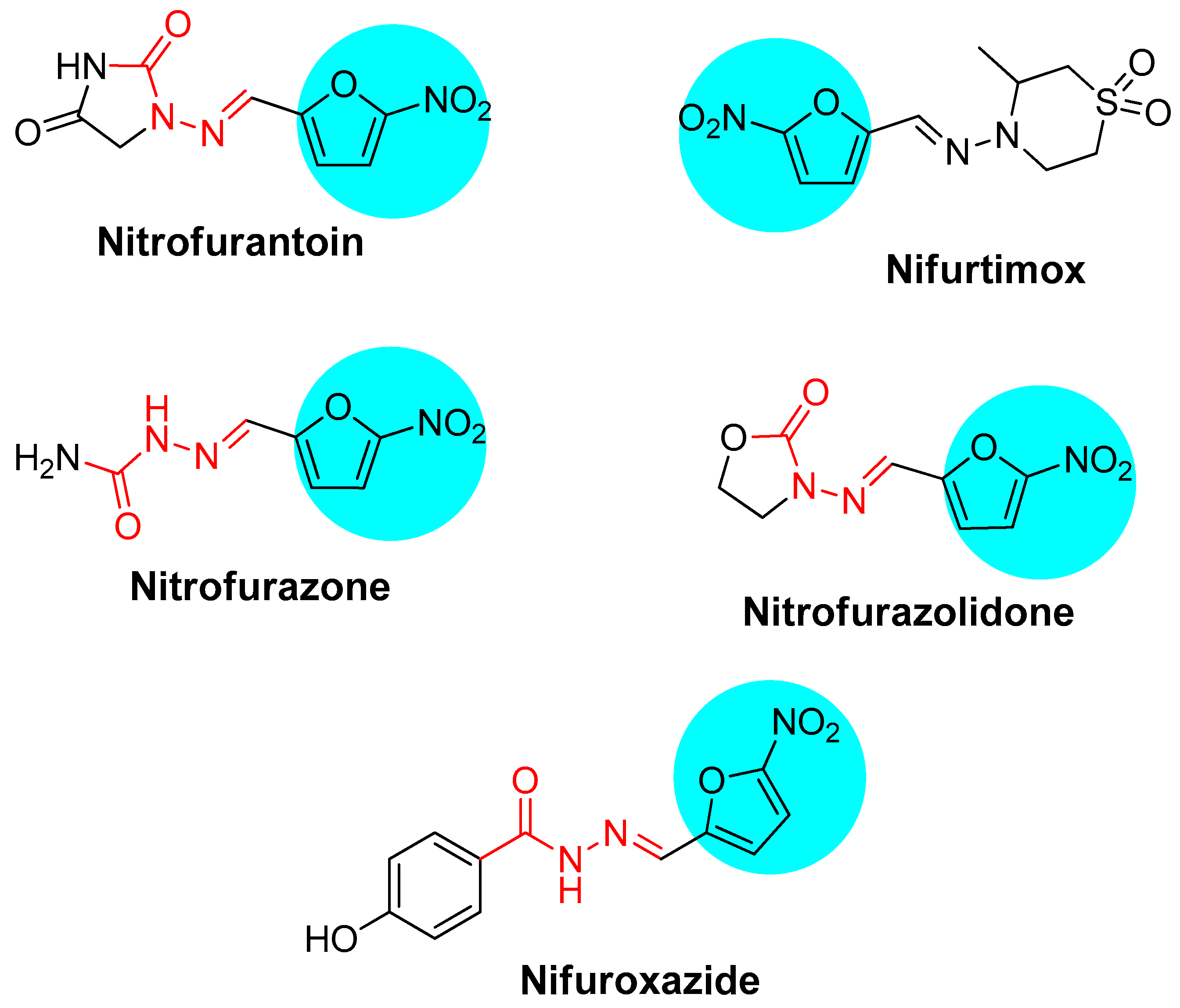 Pharmaceutics 17 00621 g001