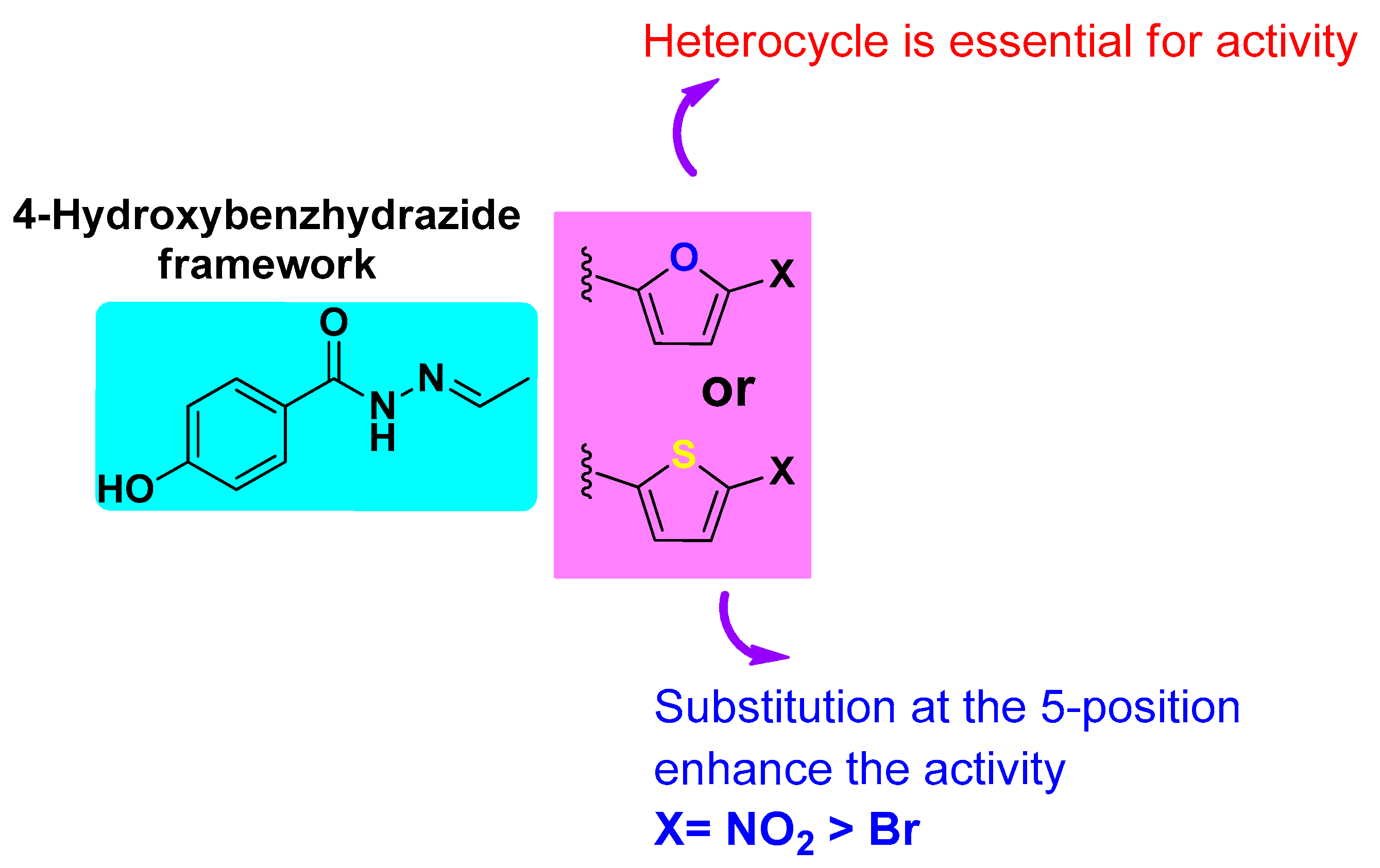 Pharmaceutics 17 00621 g005