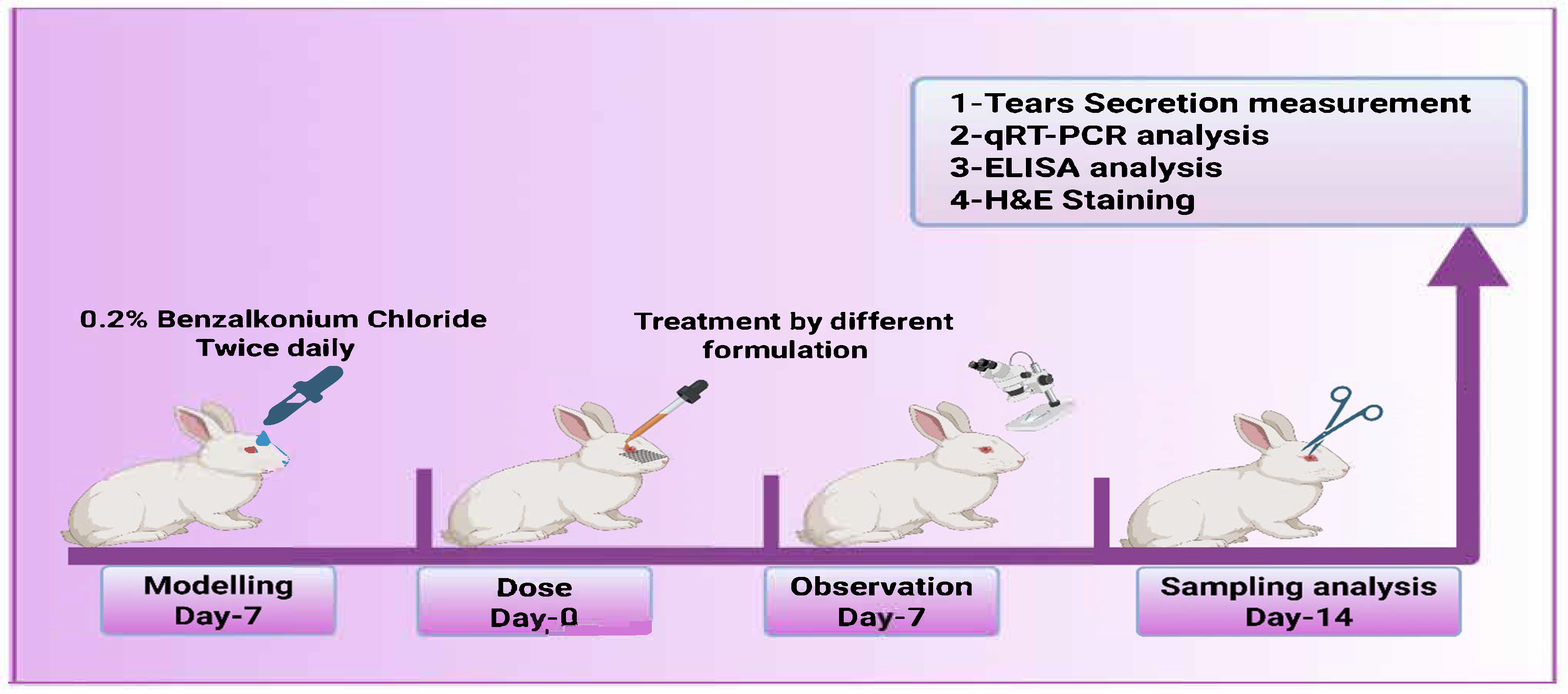 Pharmaceutics 17 00653 g002