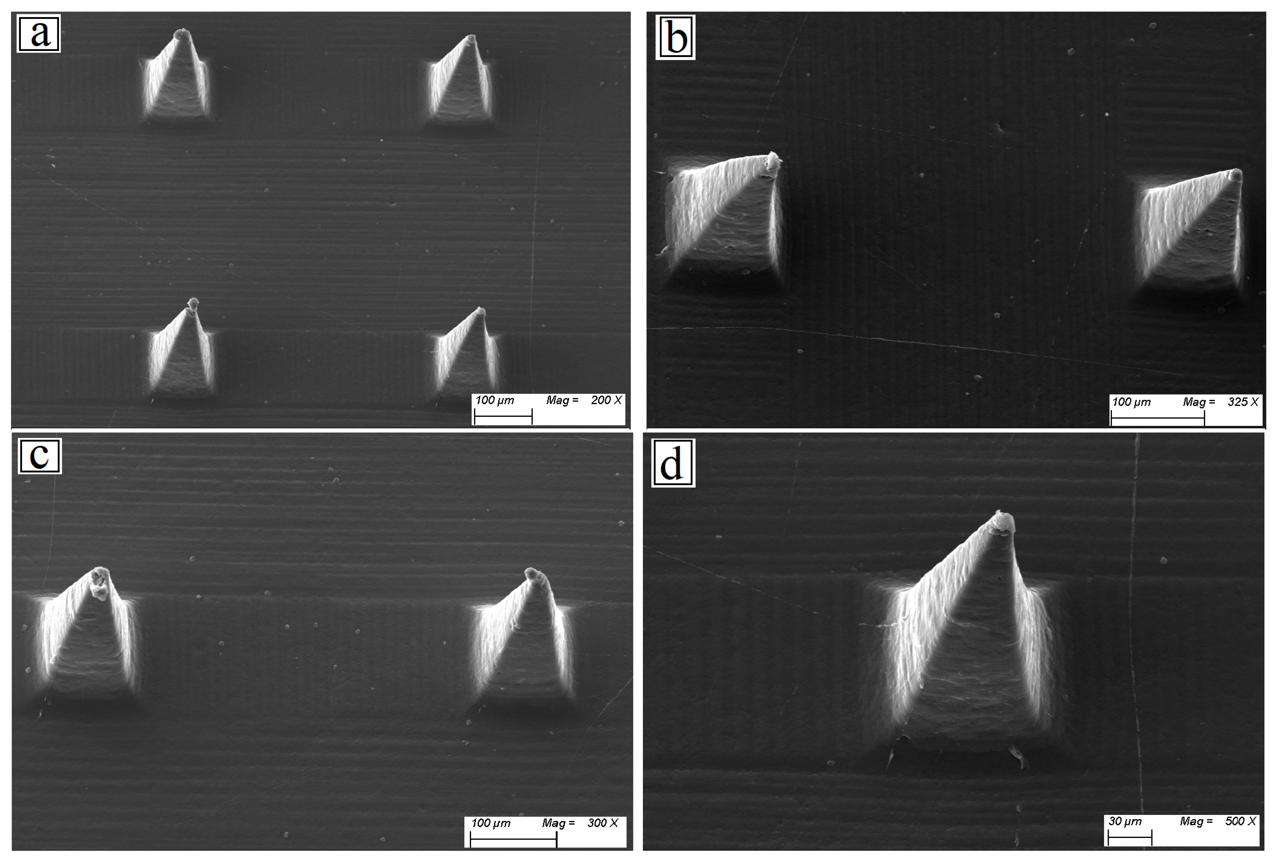 Pharmaceutics 17 00653 g006