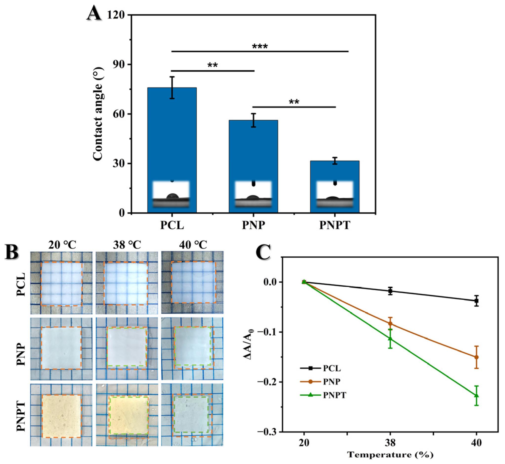 Pharmaceutics 17 00660 g003
