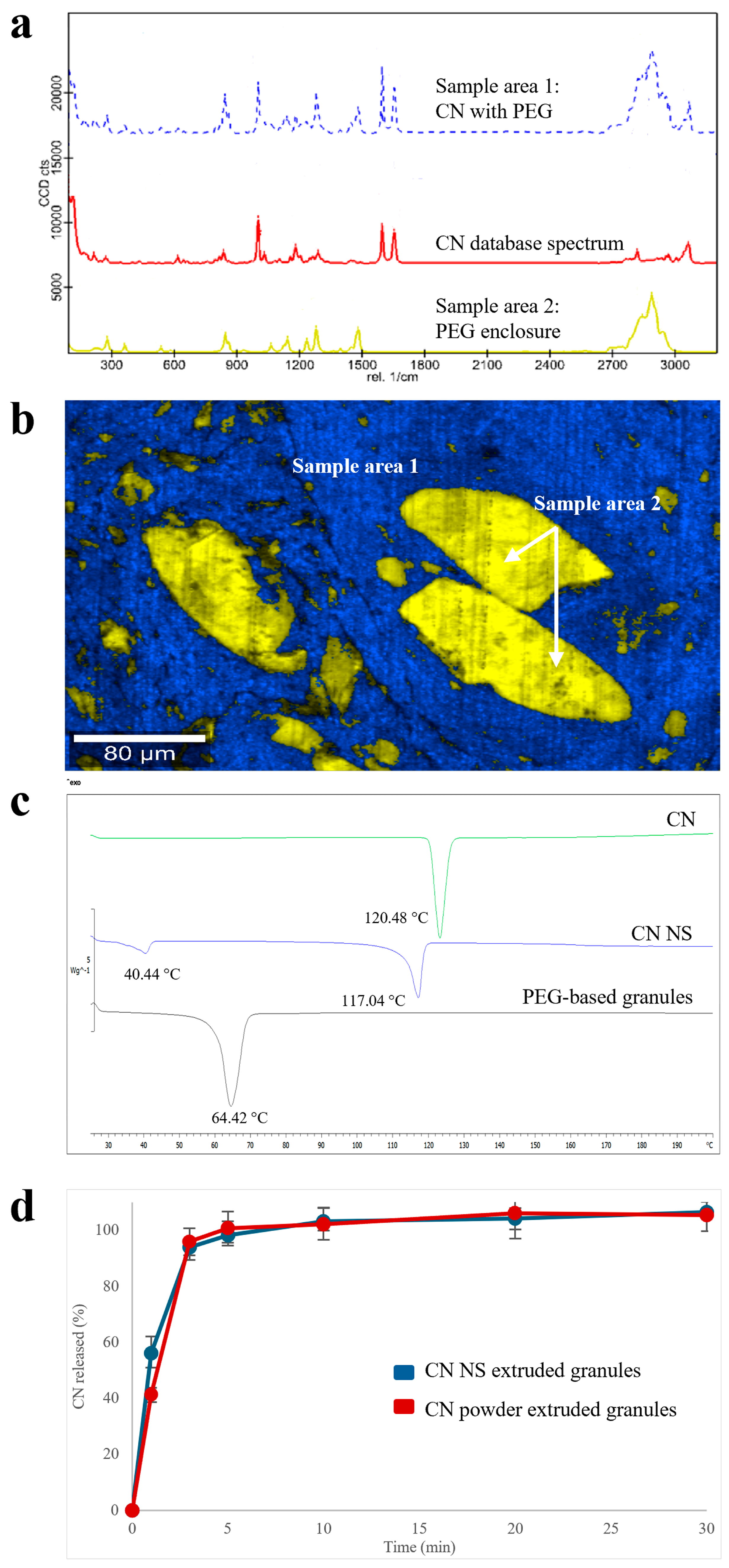 Pharmaceutics 17 00662 g004